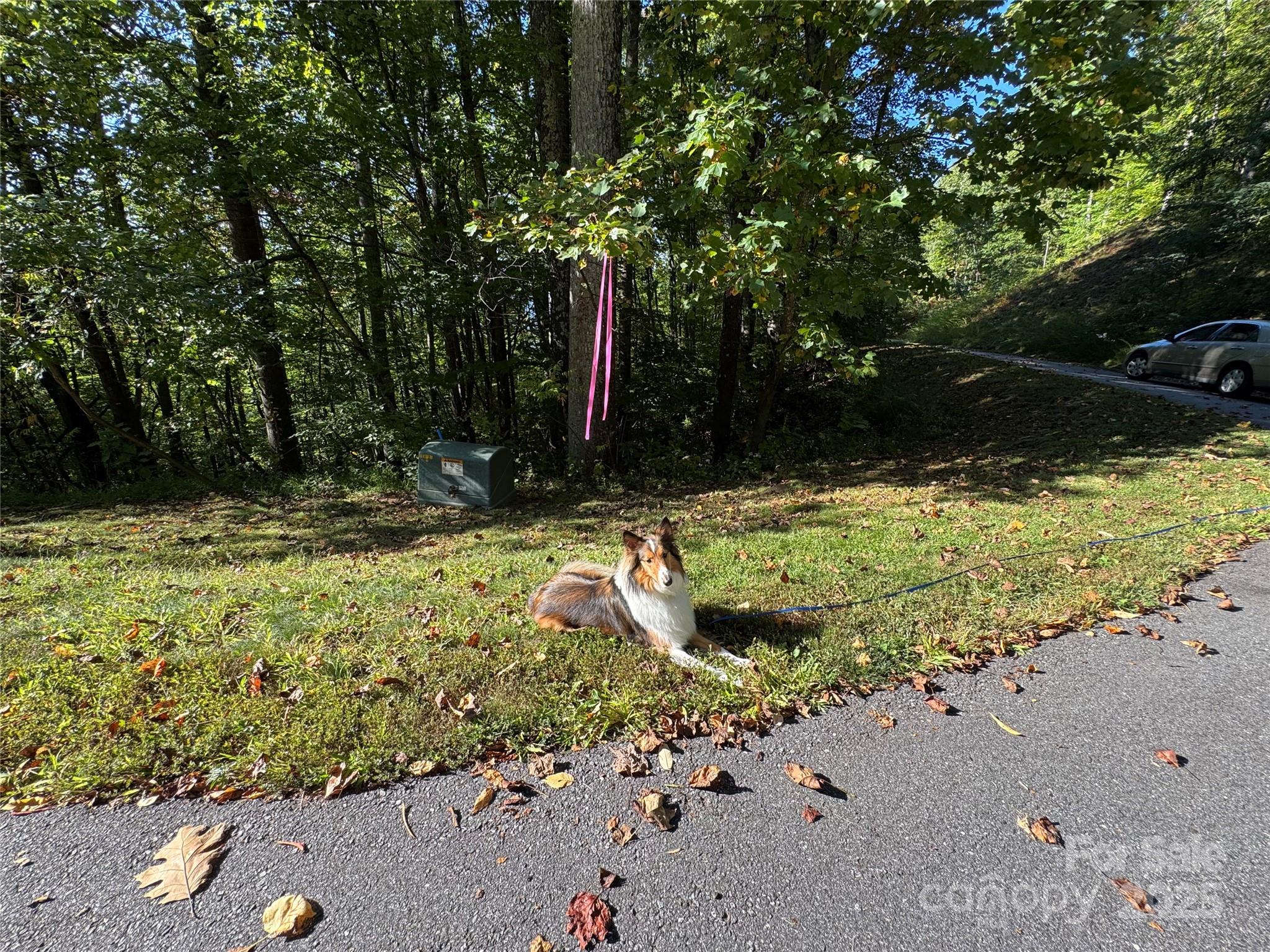 400 High Hickory Trail Swannanoa NC 28778
