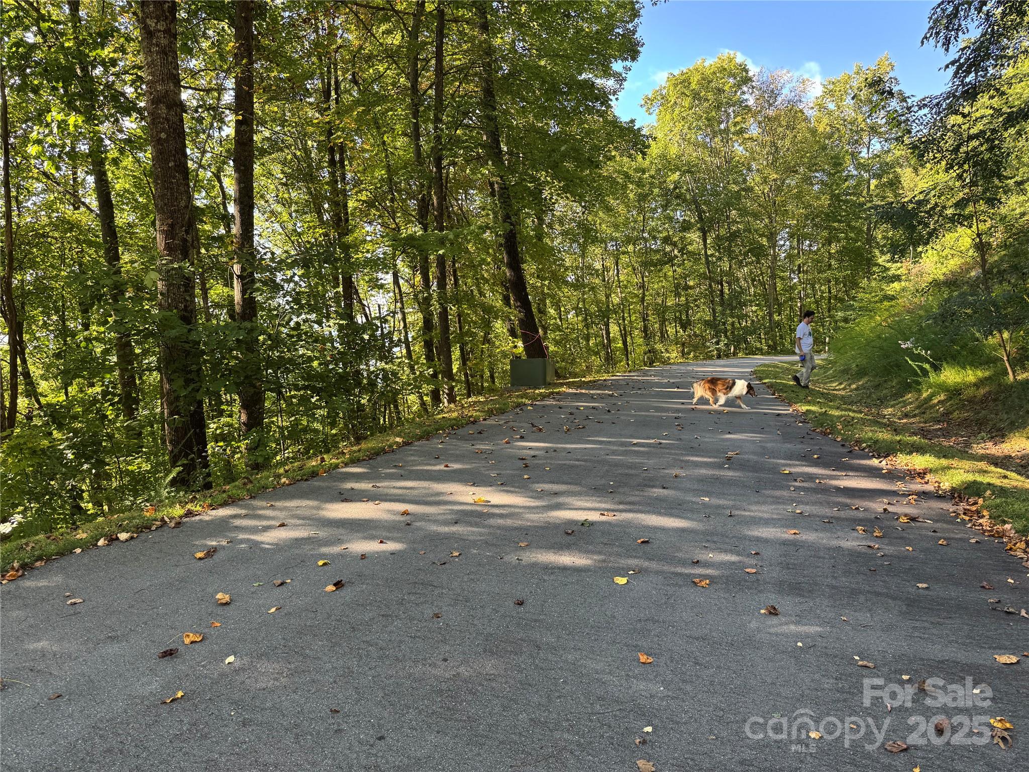 400 High Hickory Trail Swannanoa NC 28778
