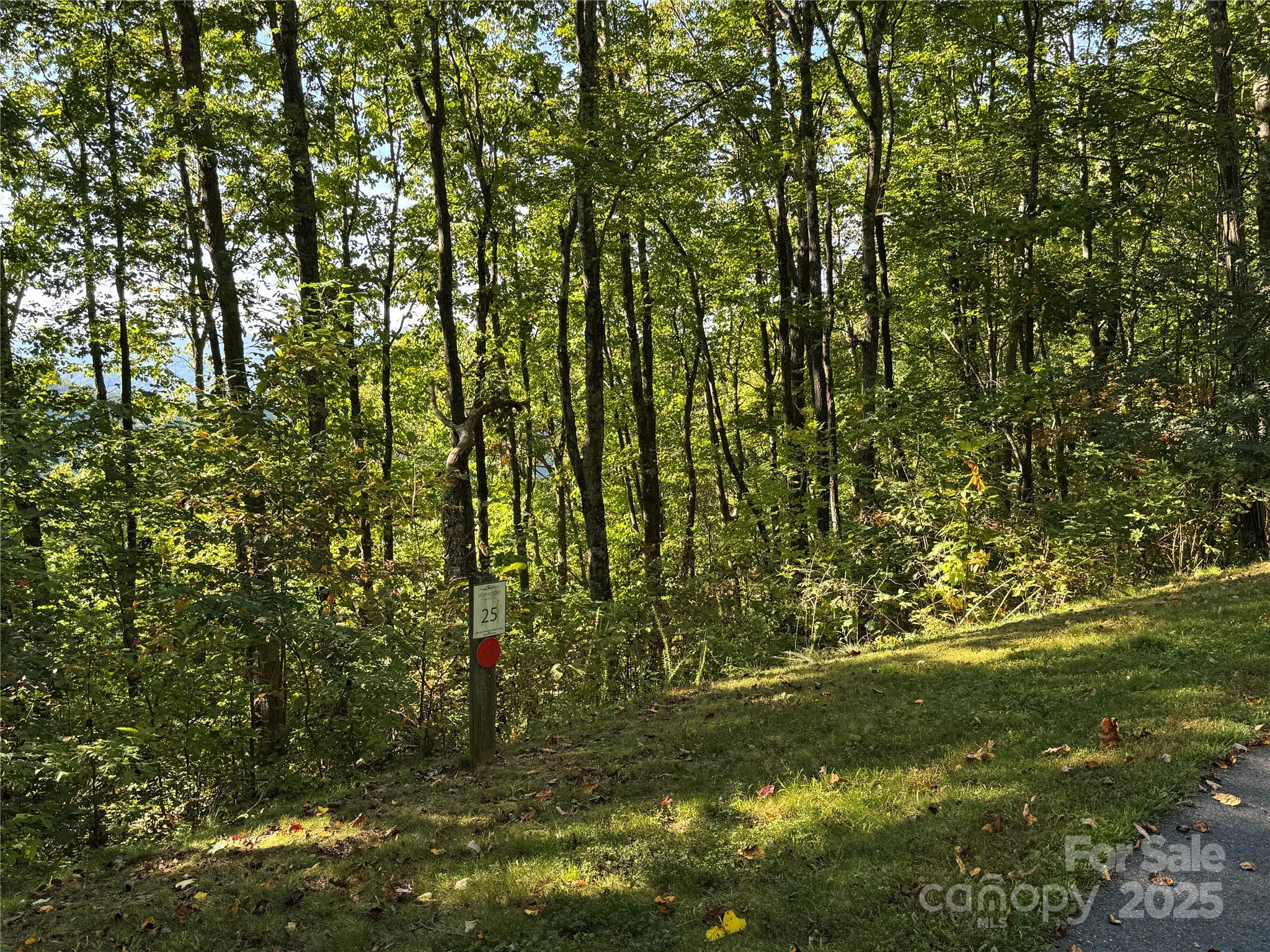 400 High Hickory Trail Swannanoa NC 28778