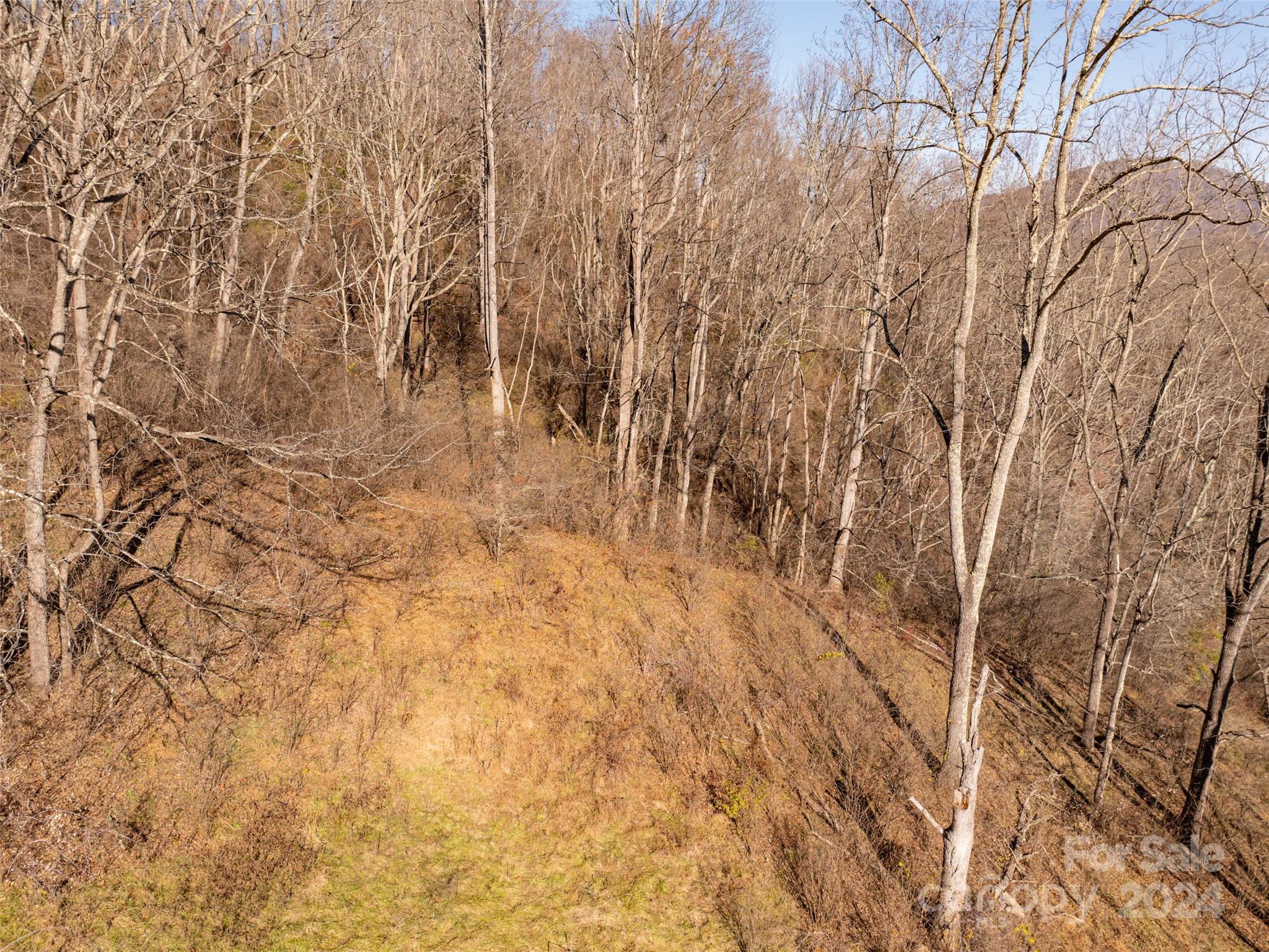 Tbd Belmont Drive Clyde NC 28721