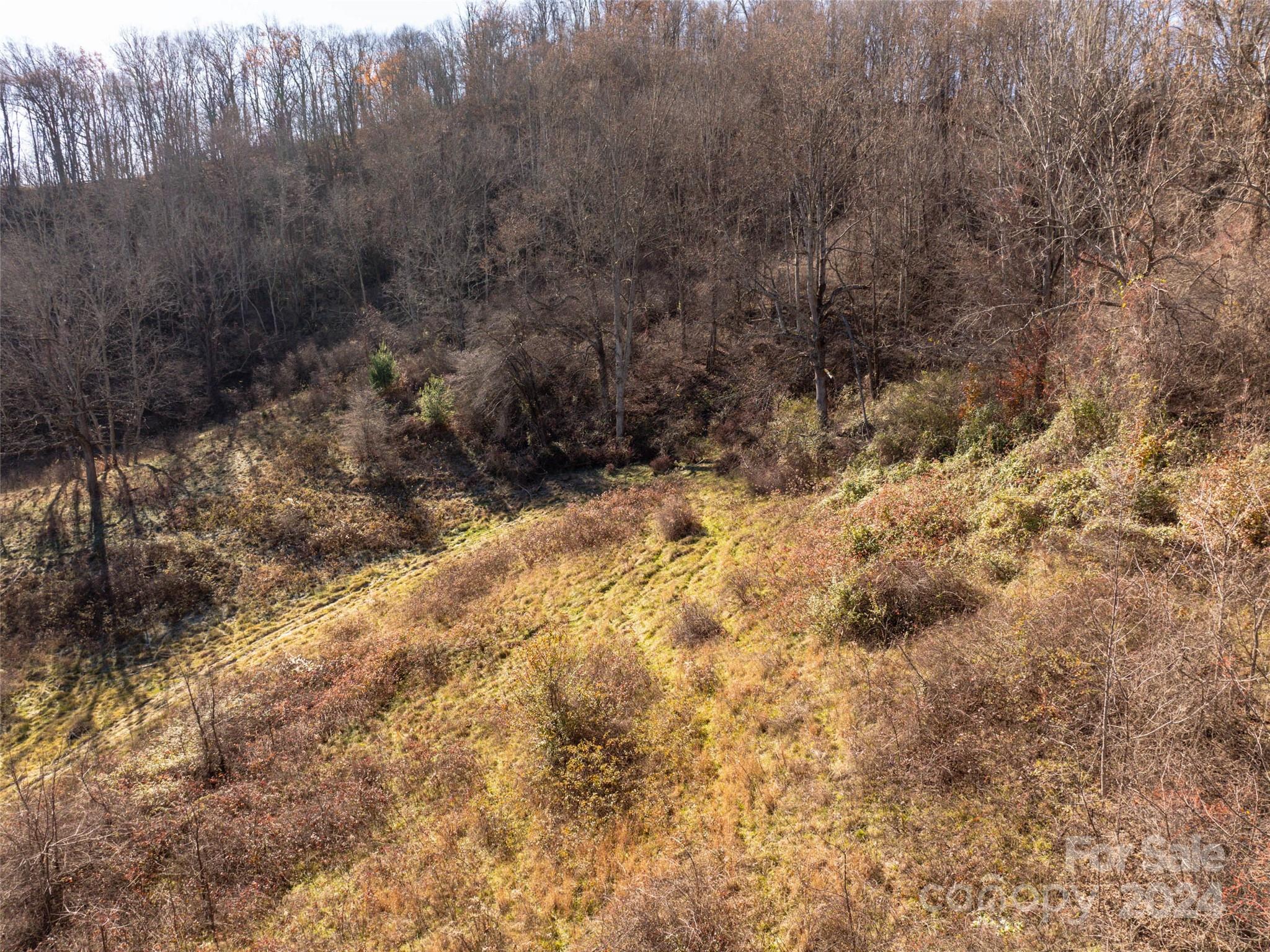 Tbd Belmont Drive Clyde NC 28721