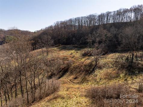 Tbd Belmont Drive Clyde NC 28721