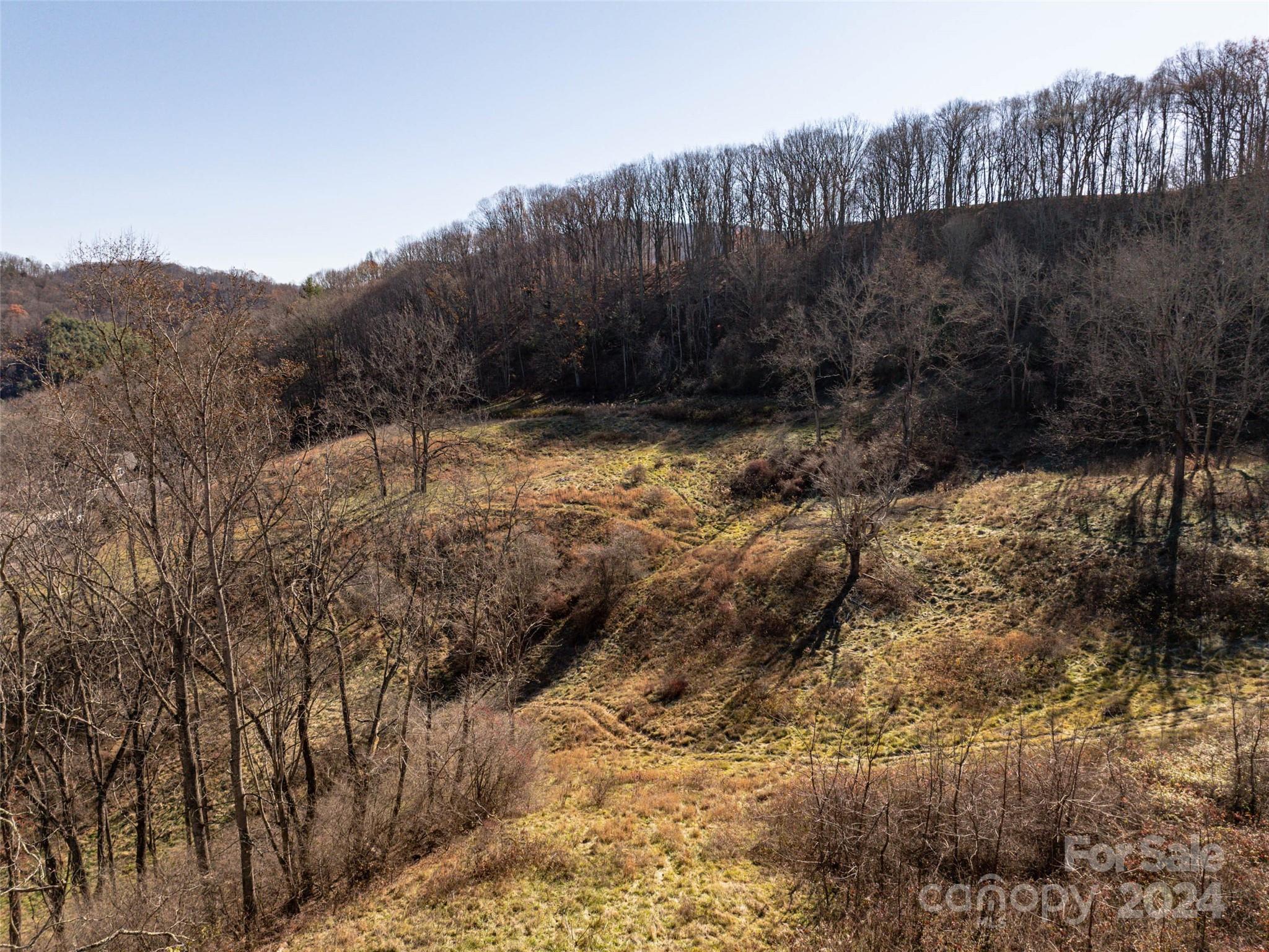 Tbd Belmont Drive Clyde NC 28721