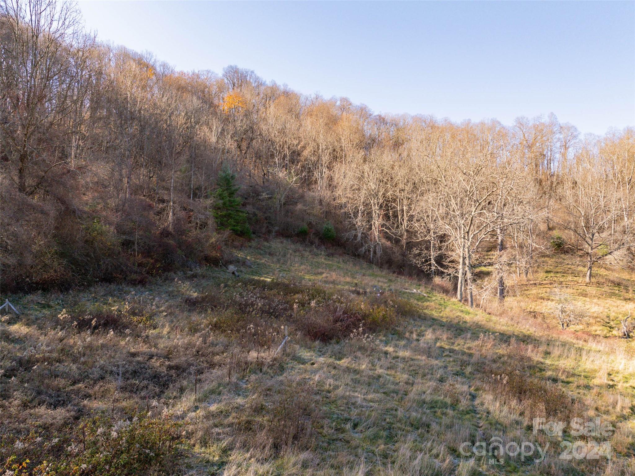 Tbd Belmont Drive Clyde NC 28721