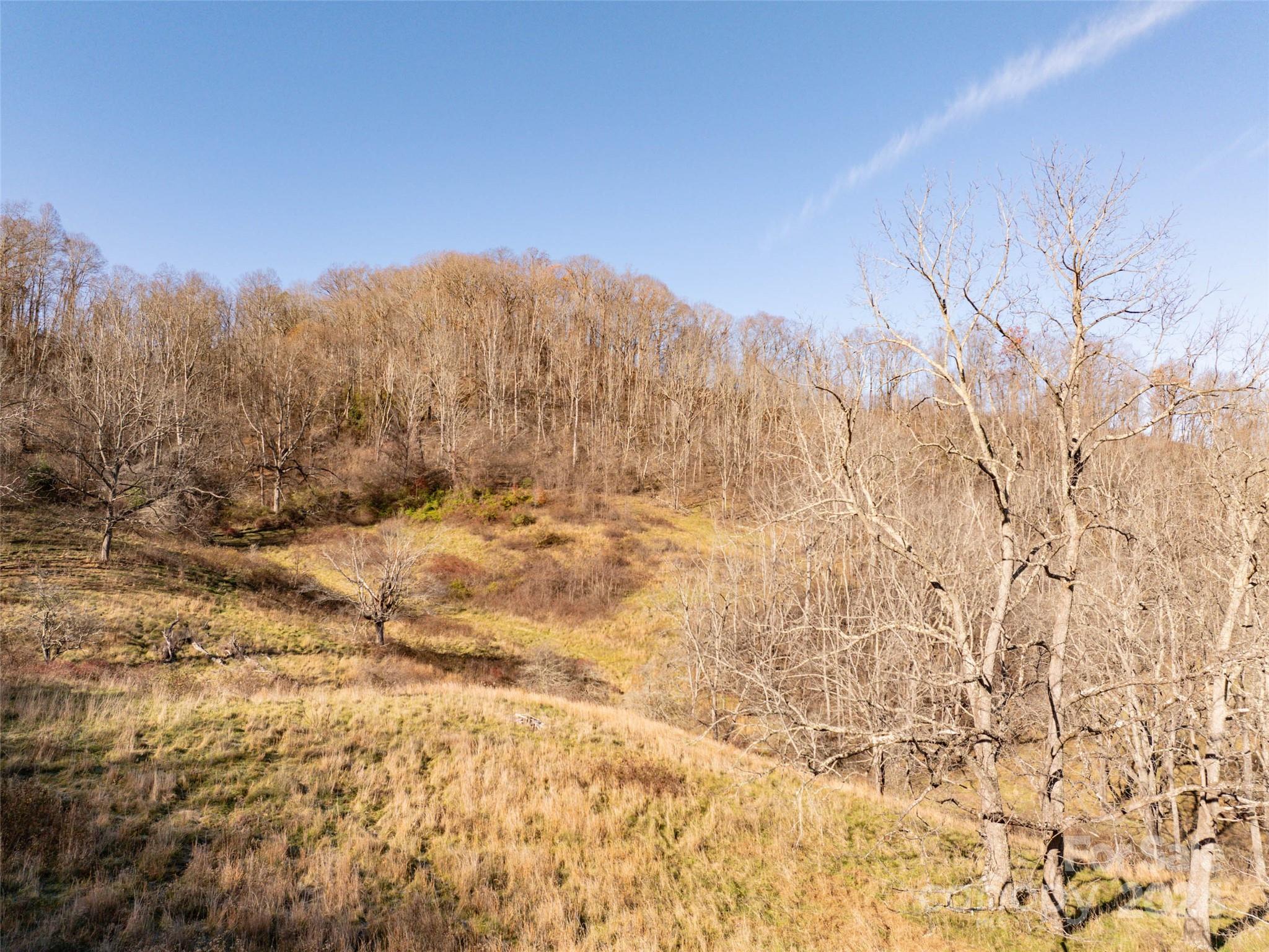 Tbd Belmont Drive Clyde NC 28721