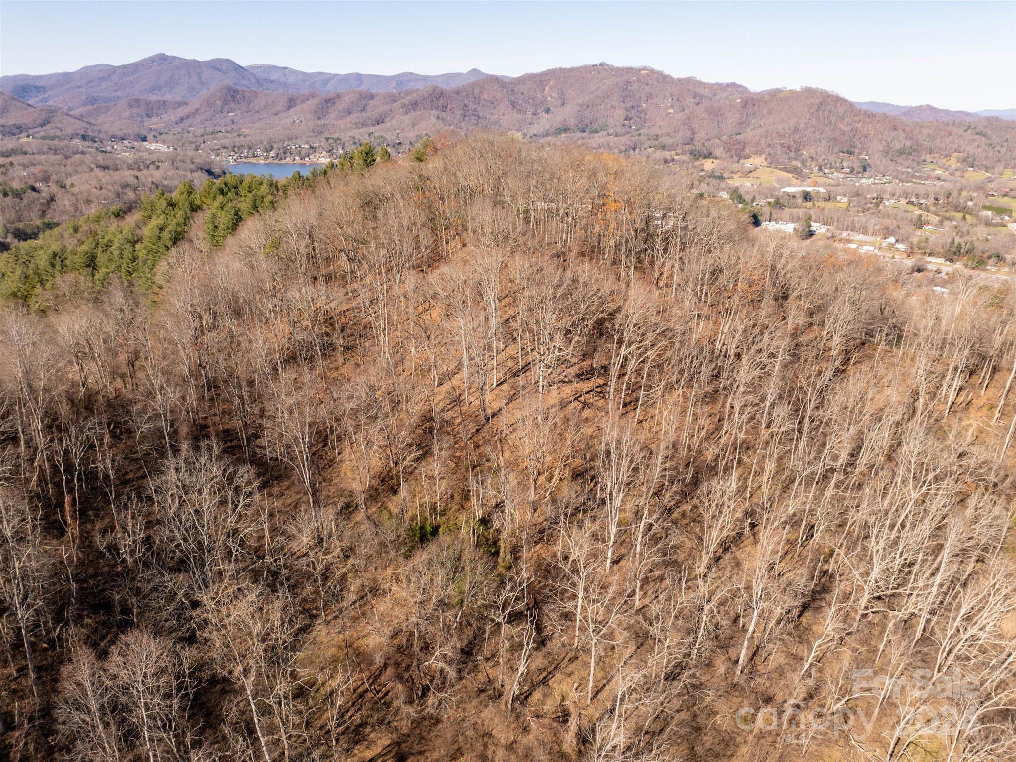 Tbd Belmont Drive Clyde NC 28721