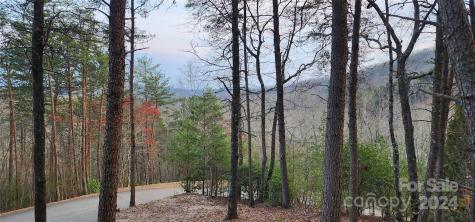 Lot 34 Wilderness Creek Way Murphy NC 28906