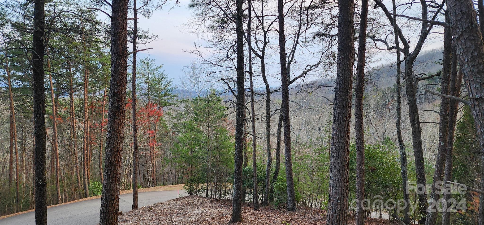 Lot 34 Wilderness Creek Way Murphy NC 28906