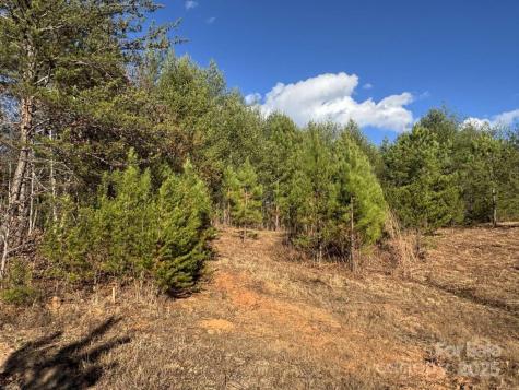 0000 Cypress Trail Lenoir NC 28645