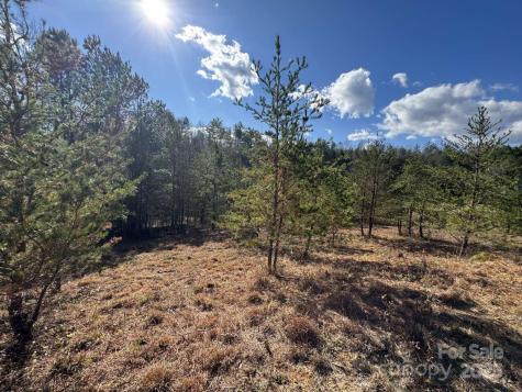 0000 Cypress Trail Lenoir NC 28645