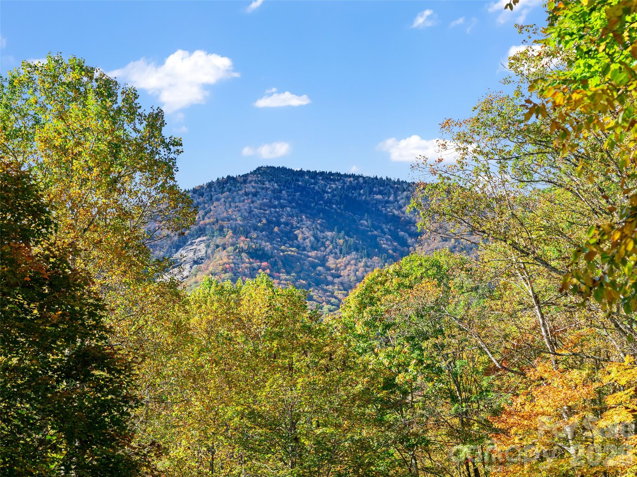 42 Hickory Springs Road Burnsville NC 28714
