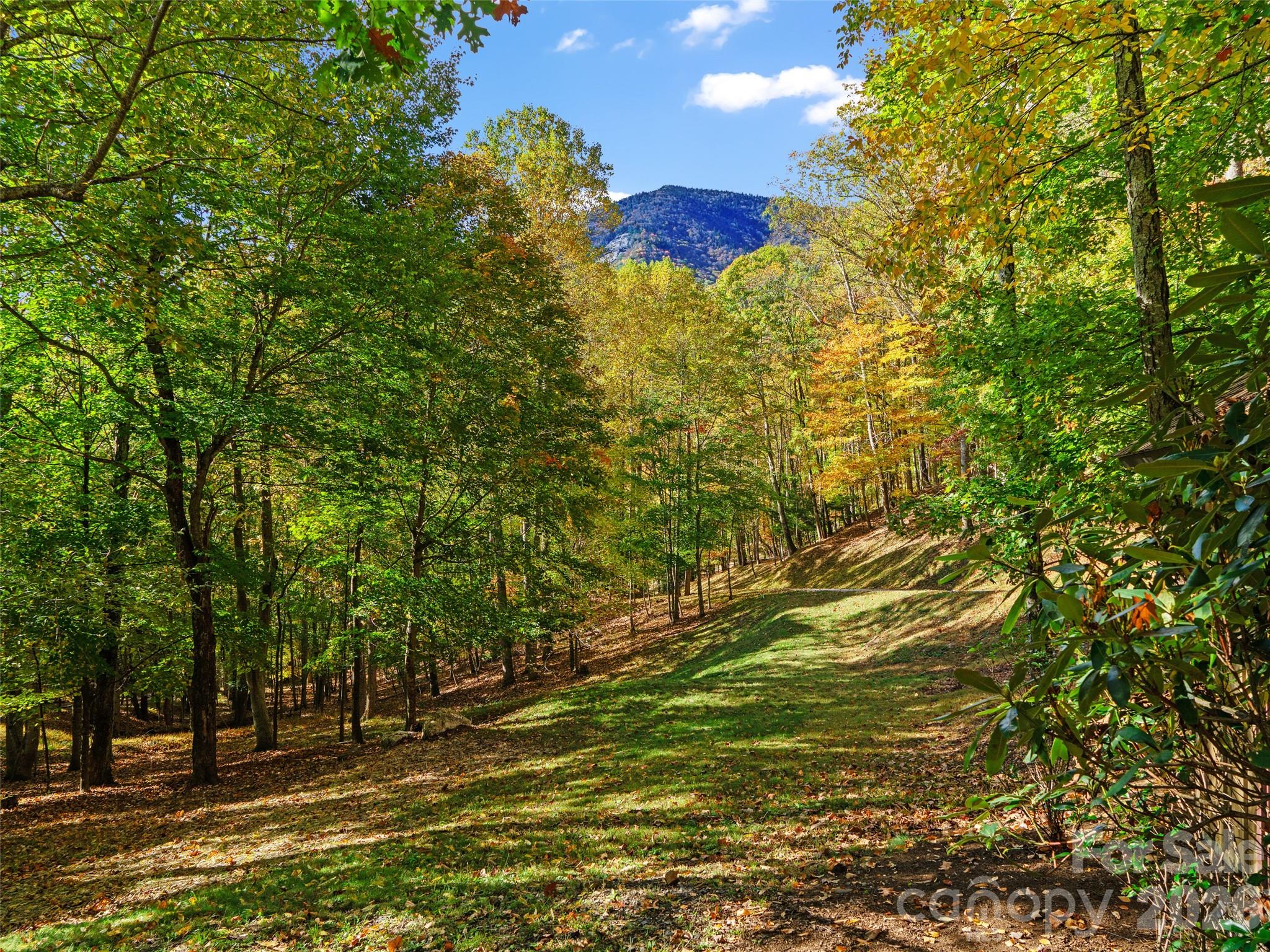 42 Hickory Springs Road Burnsville NC 28714