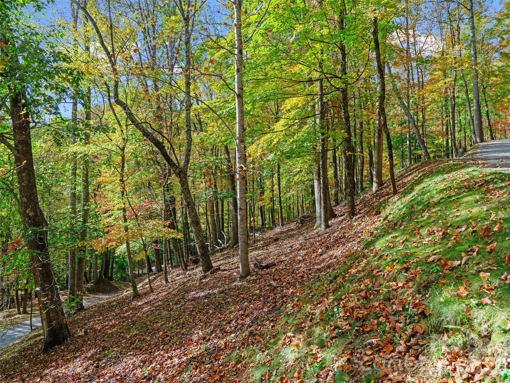 42 Hickory Springs Road Burnsville NC 28714