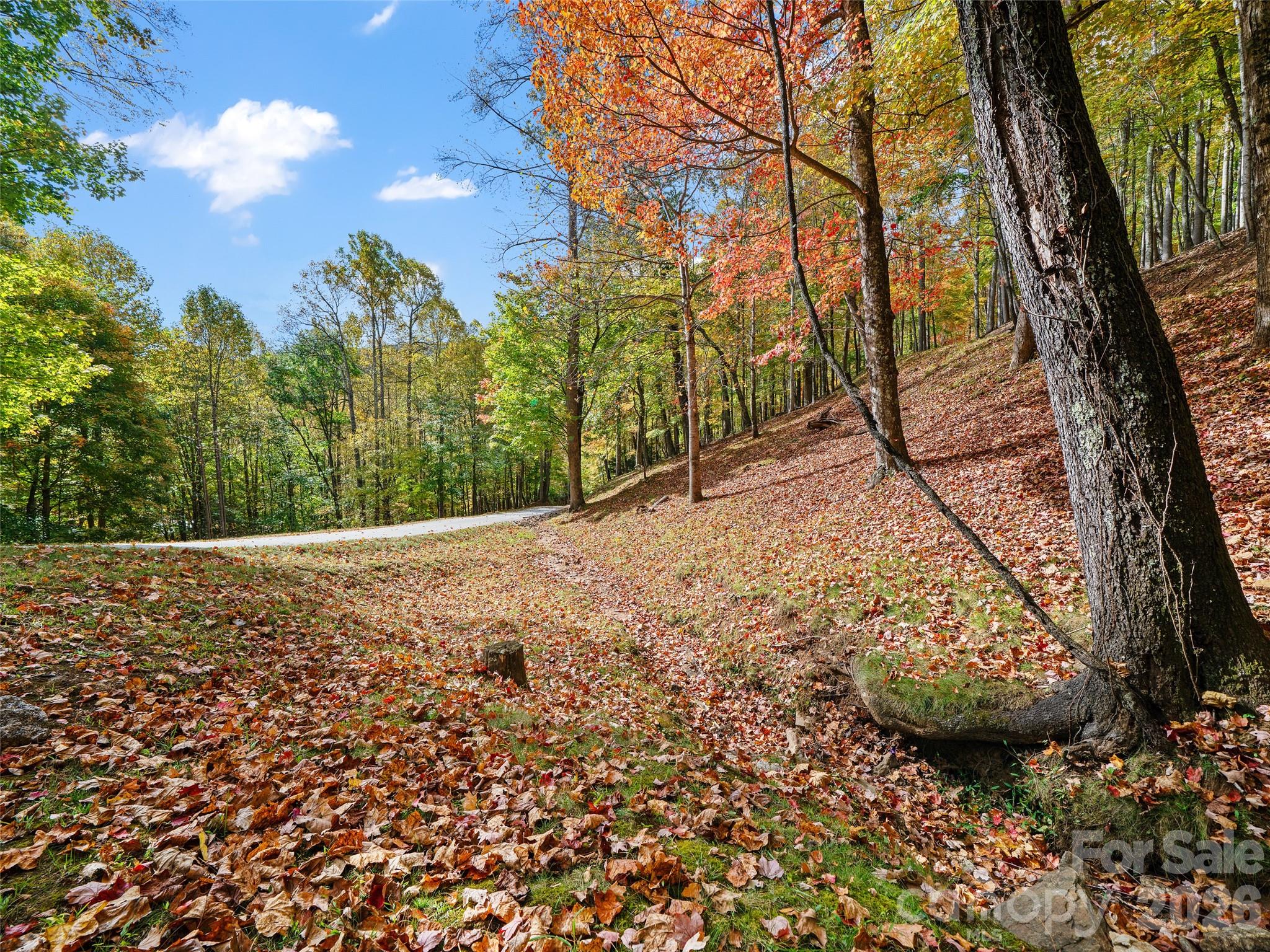 42 Hickory Springs Road Burnsville NC 28714