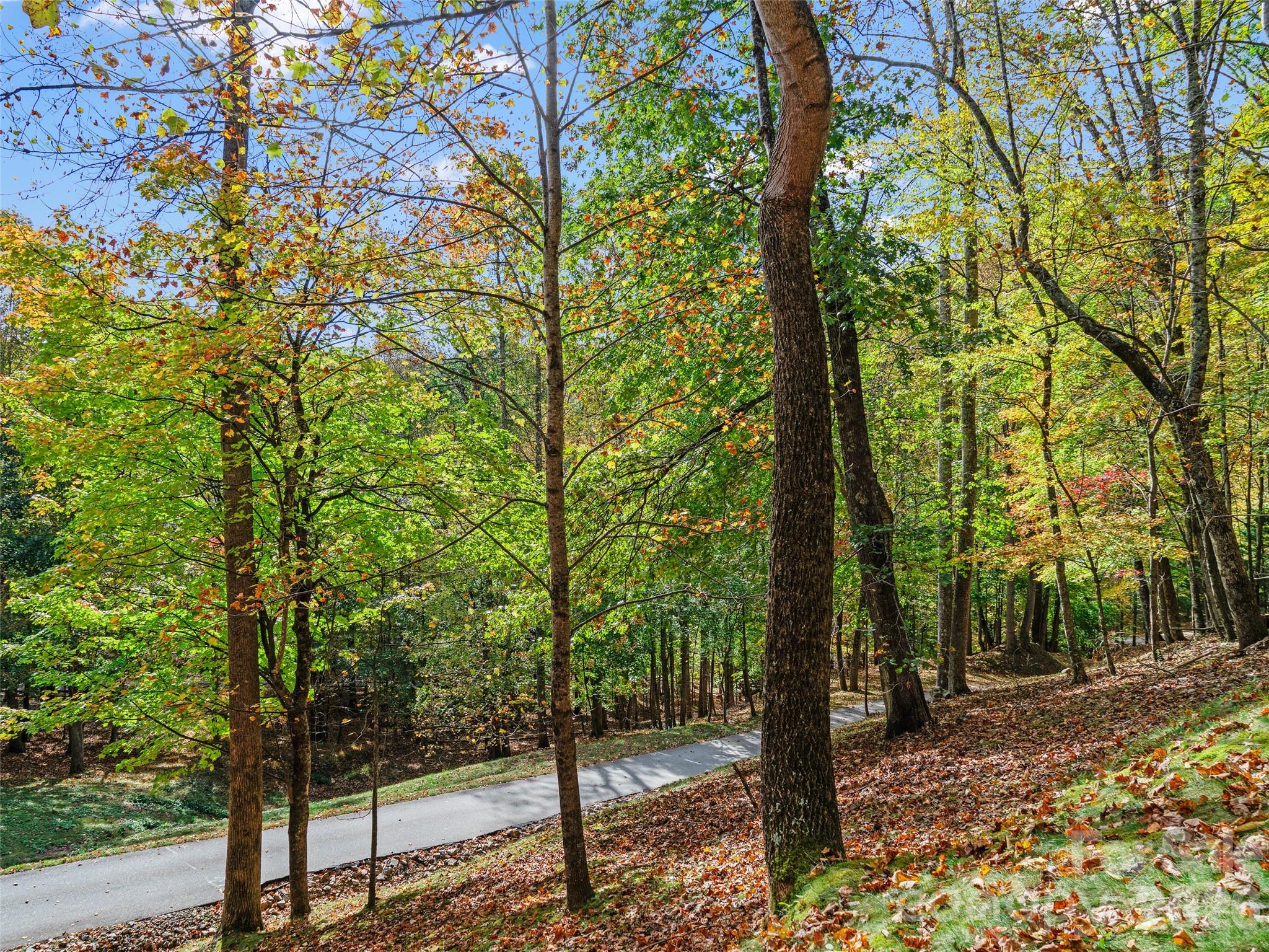 42 Hickory Springs Road Burnsville NC 28714