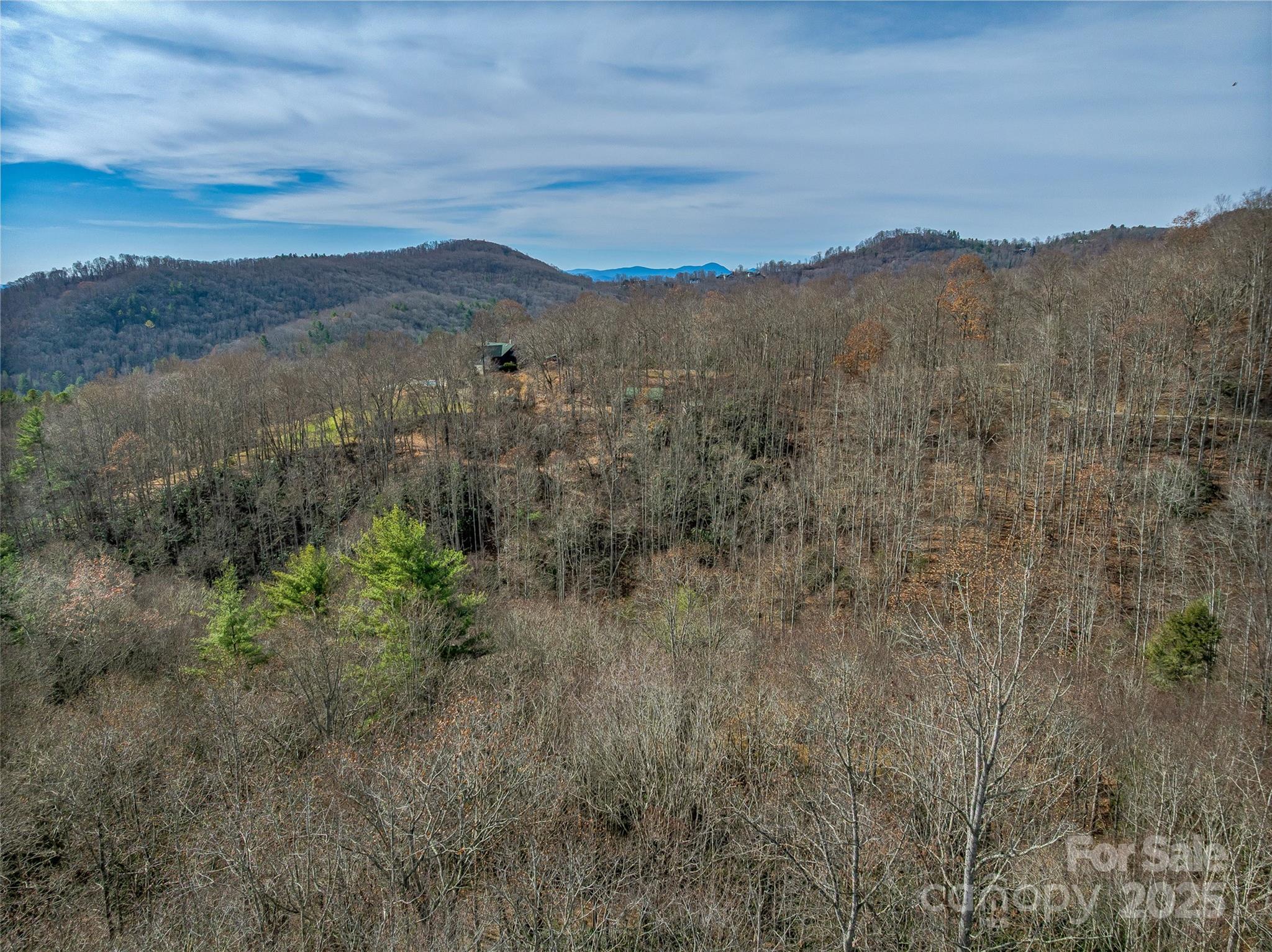 9999-12 Bob Barnwell Road Asheville NC 28803
