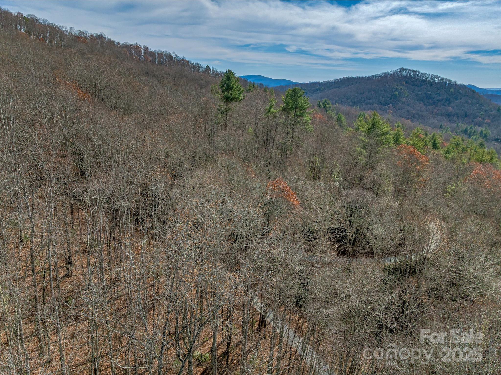9999-12 Bob Barnwell Road Asheville NC 28803