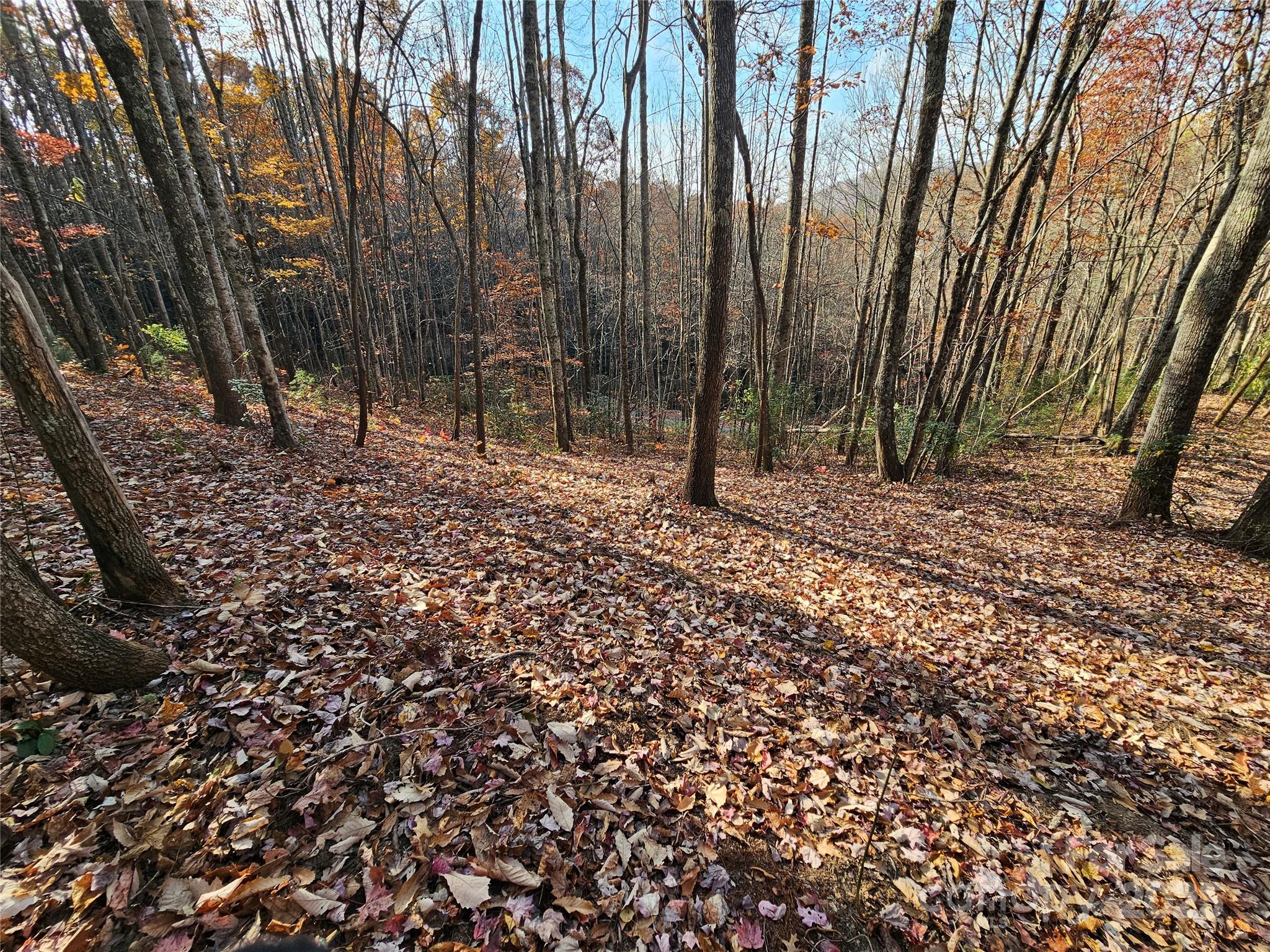 9999-12 Bob Barnwell Road Asheville NC 28803