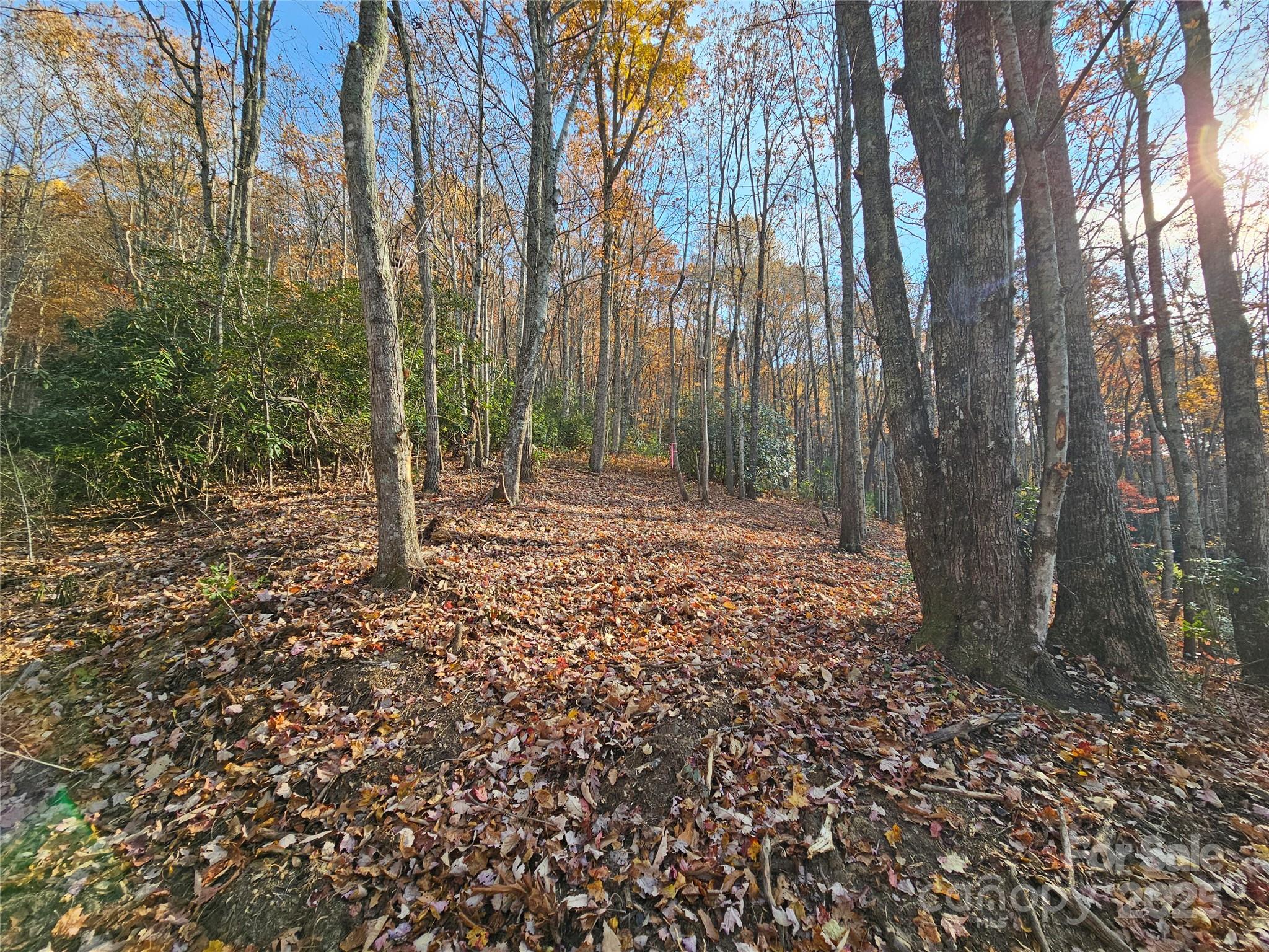 9999-12 Bob Barnwell Road Asheville NC 28803
