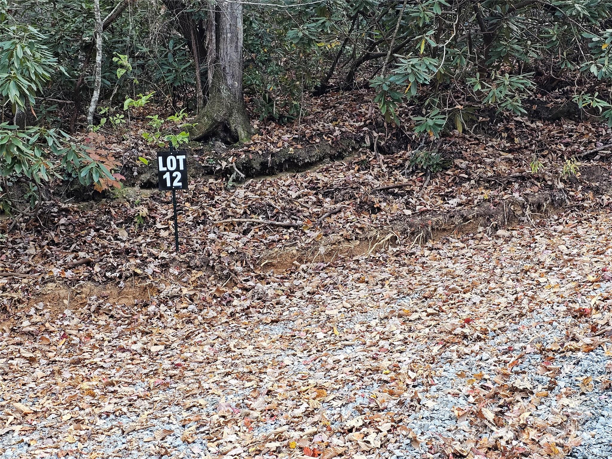 9999-12 Bob Barnwell Road Asheville NC 28803