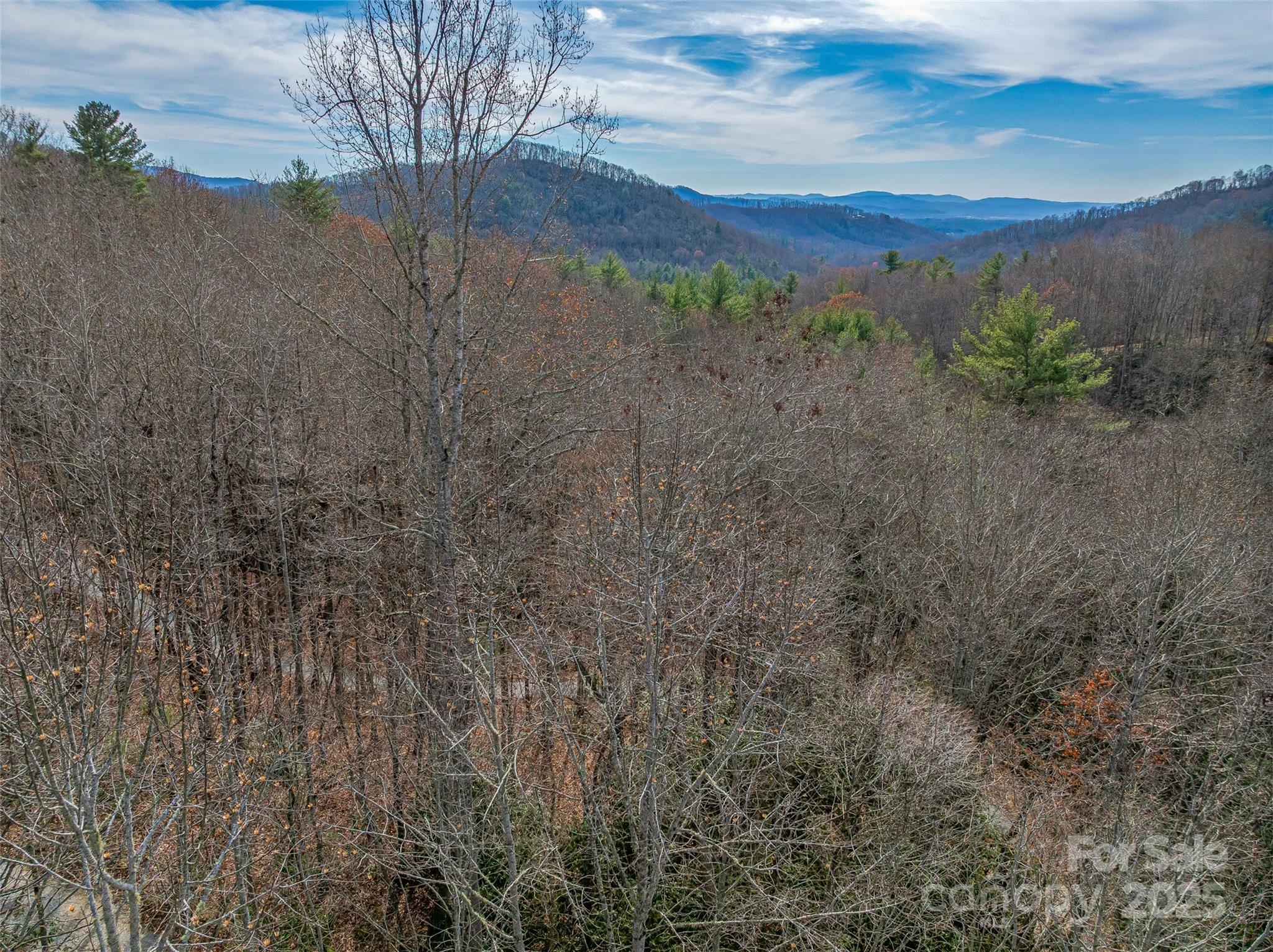 9999-12 Bob Barnwell Road Asheville NC 28803