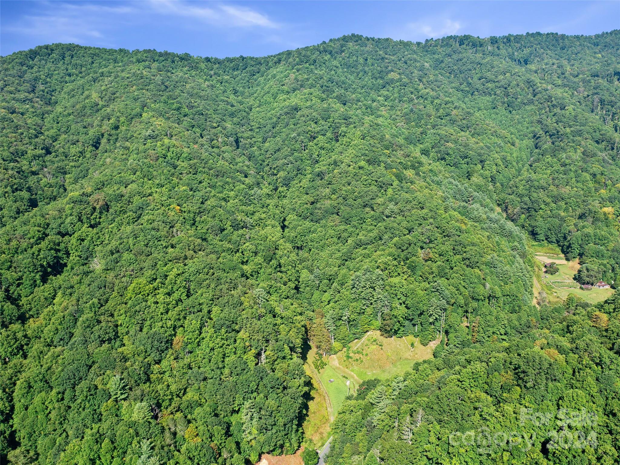 000 Byrd Creek Road Green Mountain NC 28740
