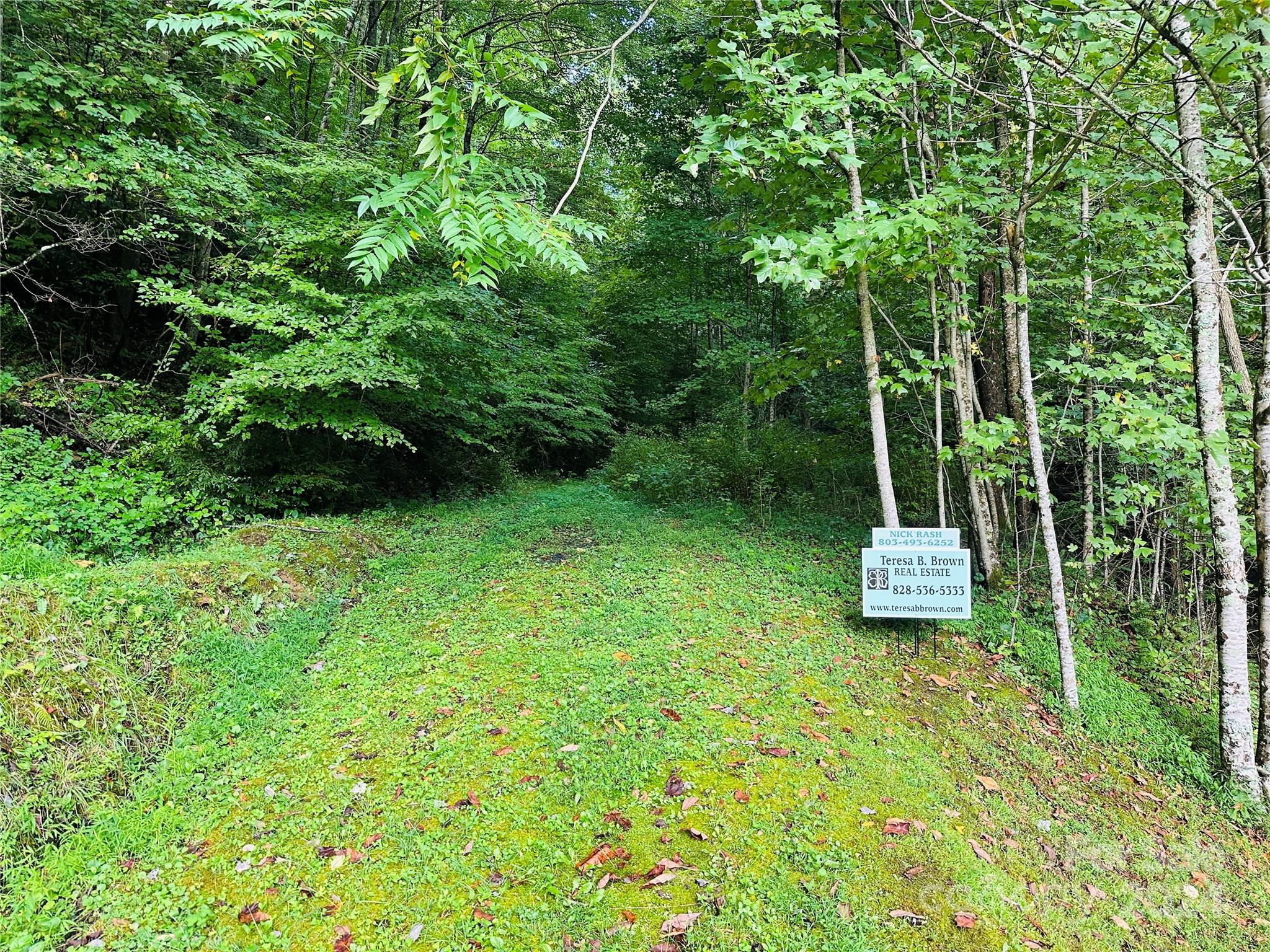 000 Byrd Creek Road Green Mountain NC 28740