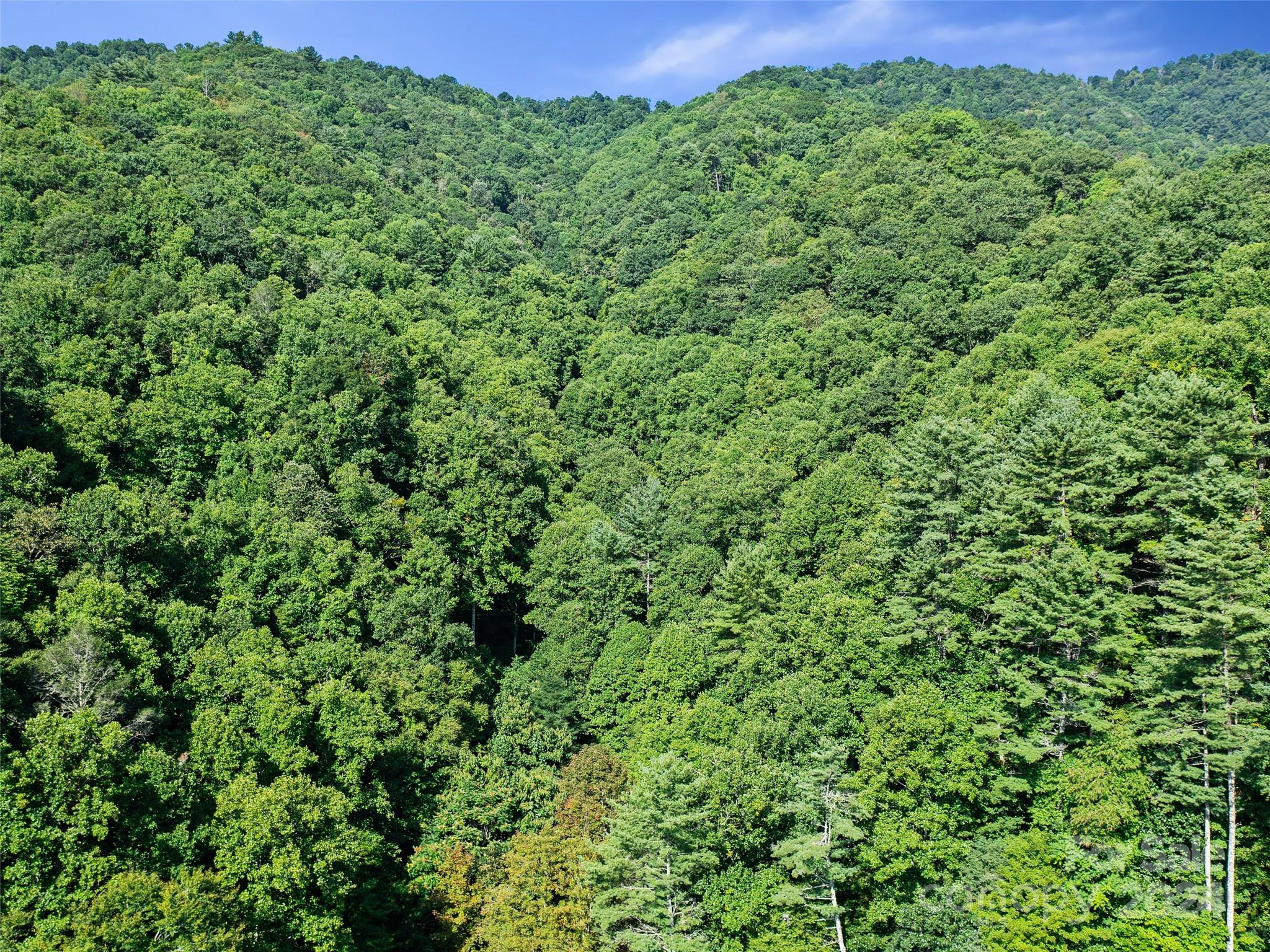 000 Byrd Creek Road Green Mountain NC 28740