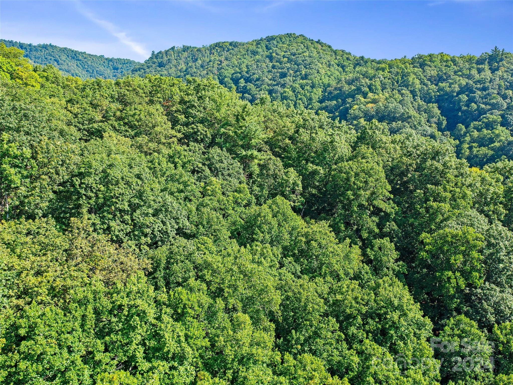 000 Byrd Creek Road Green Mountain NC 28740