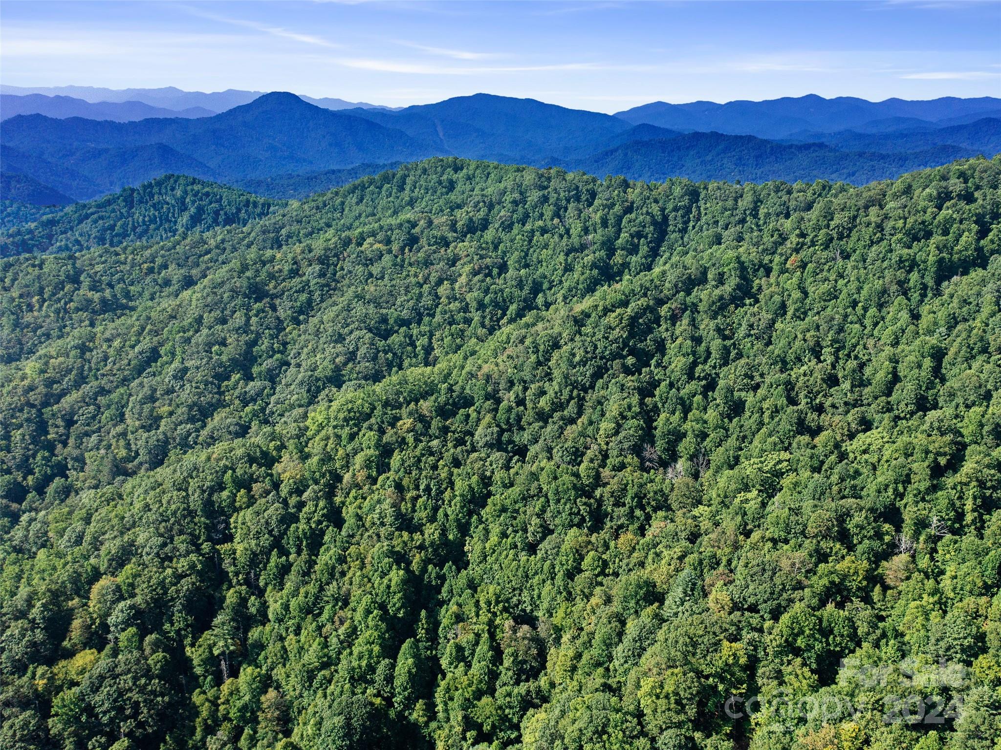 000 Byrd Creek Road Green Mountain NC 28740
