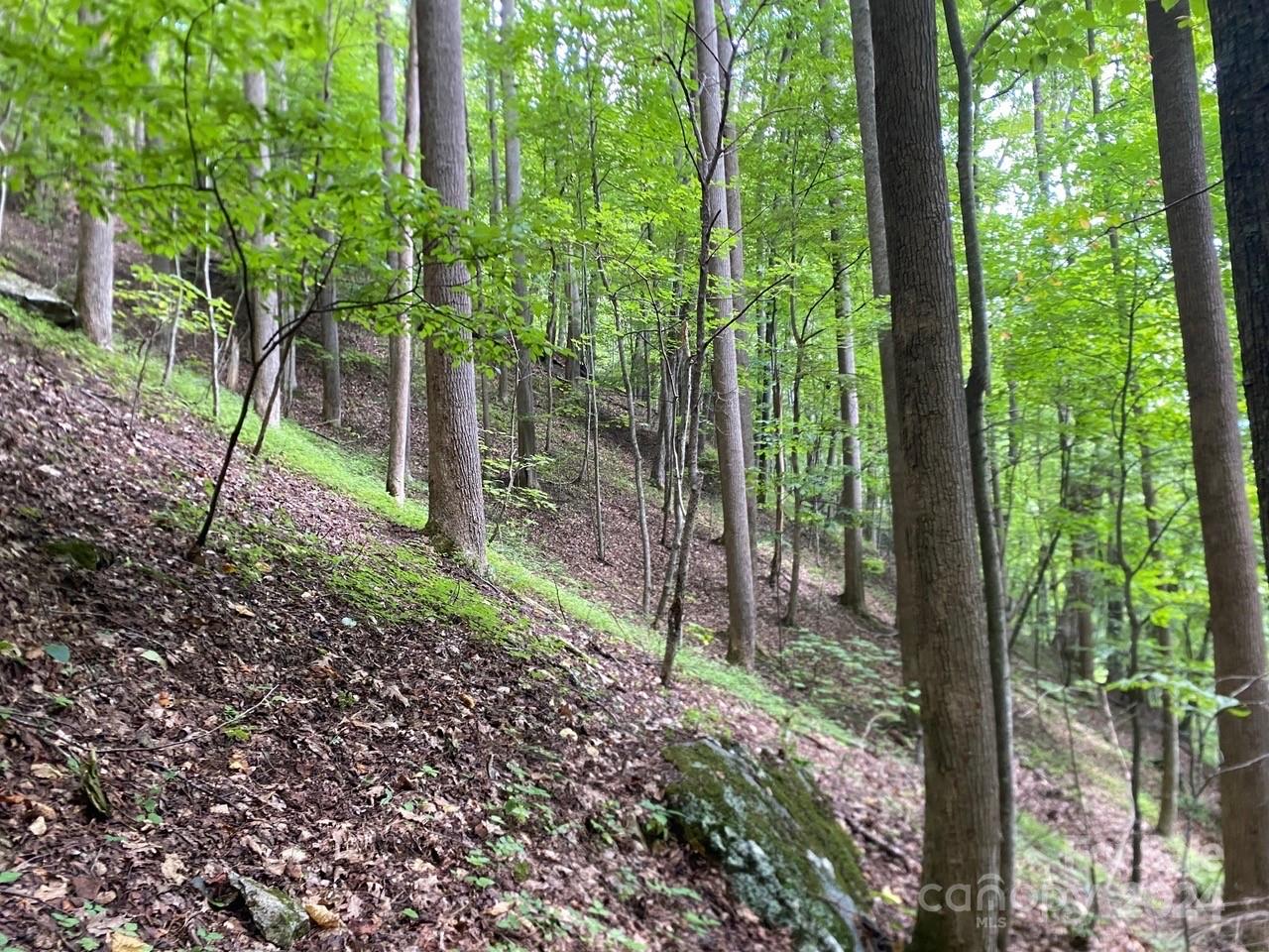 000 Byrd Creek Road Green Mountain NC 28740