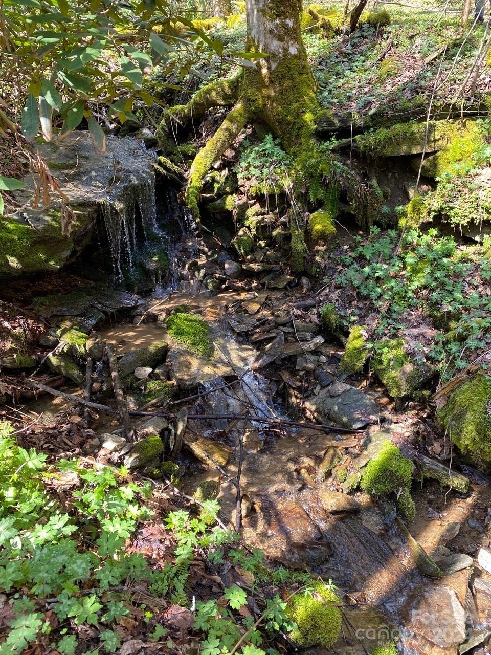 000 Byrd Creek Road Green Mountain NC 28740