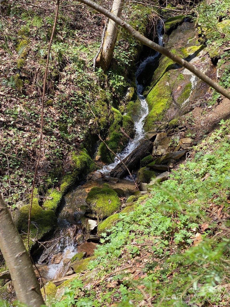 000 Byrd Creek Road Green Mountain NC 28740