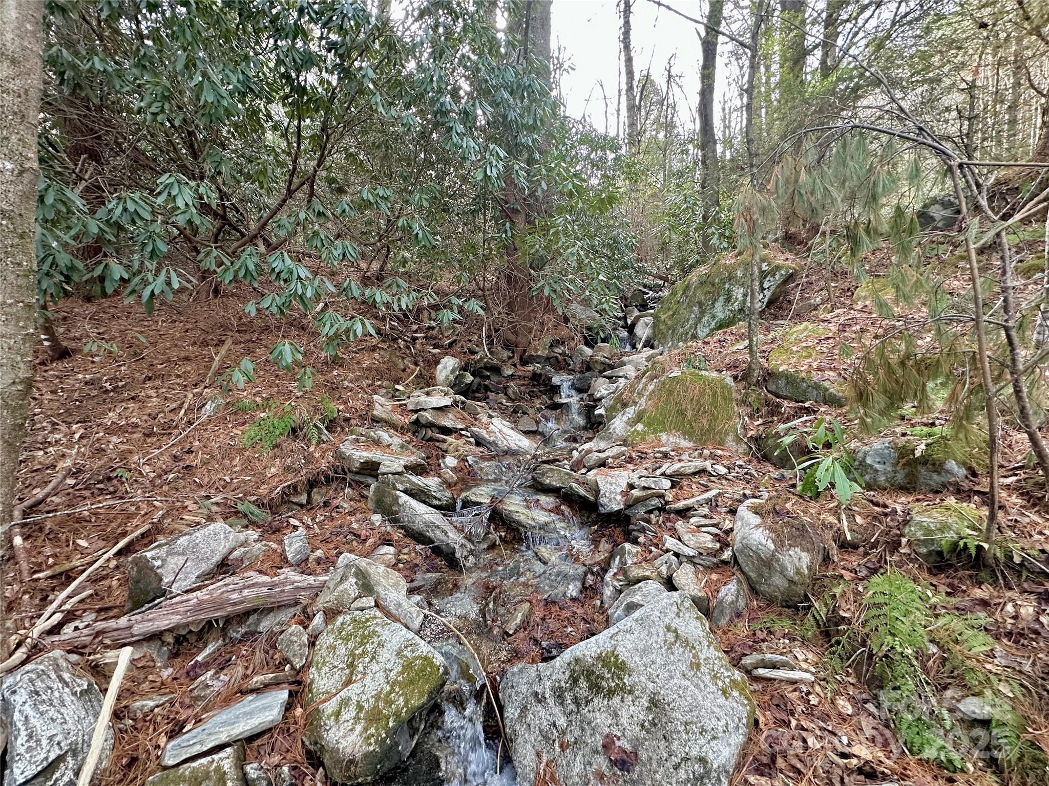Tbd George Hayes Road Boone NC 28607