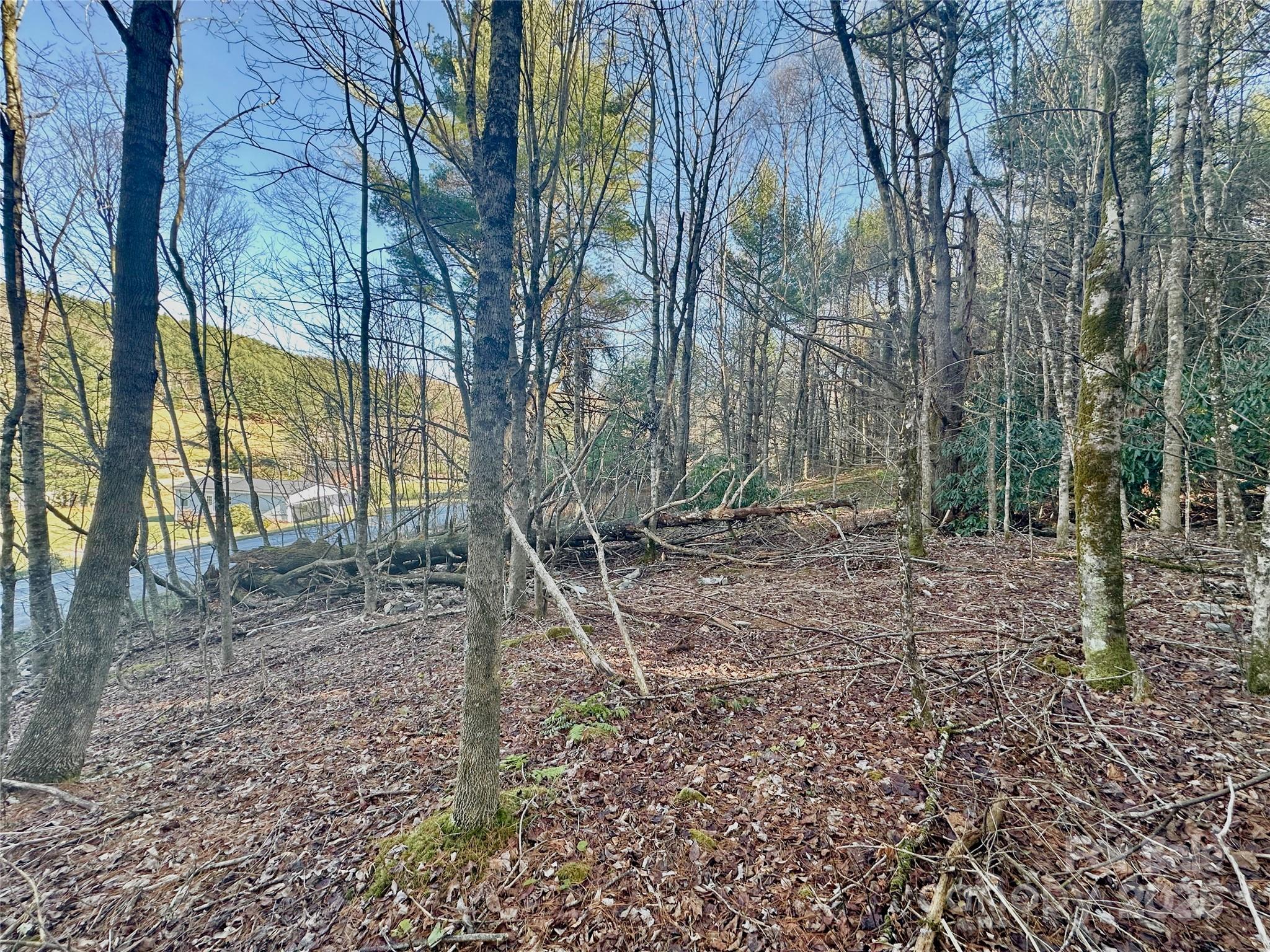 Tbd George Hayes Road Boone NC 28607
