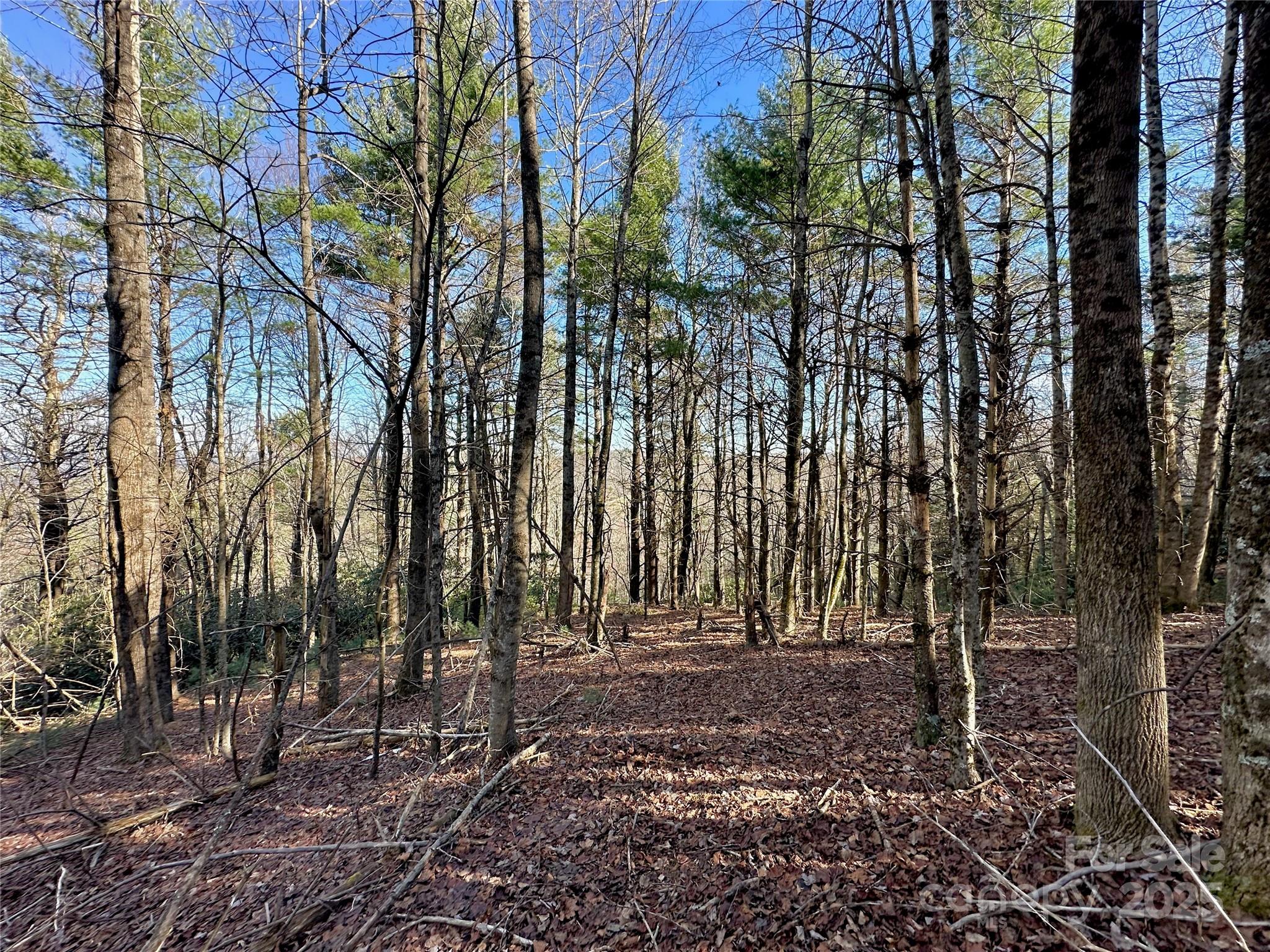 Tbd George Hayes Road Boone NC 28607