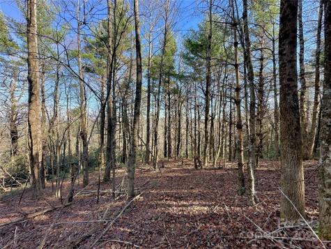 Tbd George Hayes Road Boone NC 28607