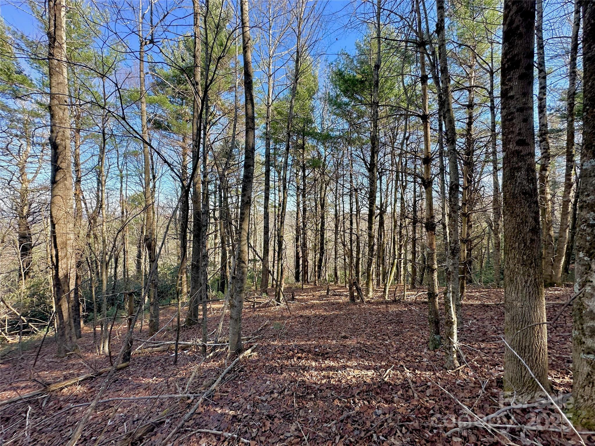 Tbd George Hayes Road Boone NC 28607