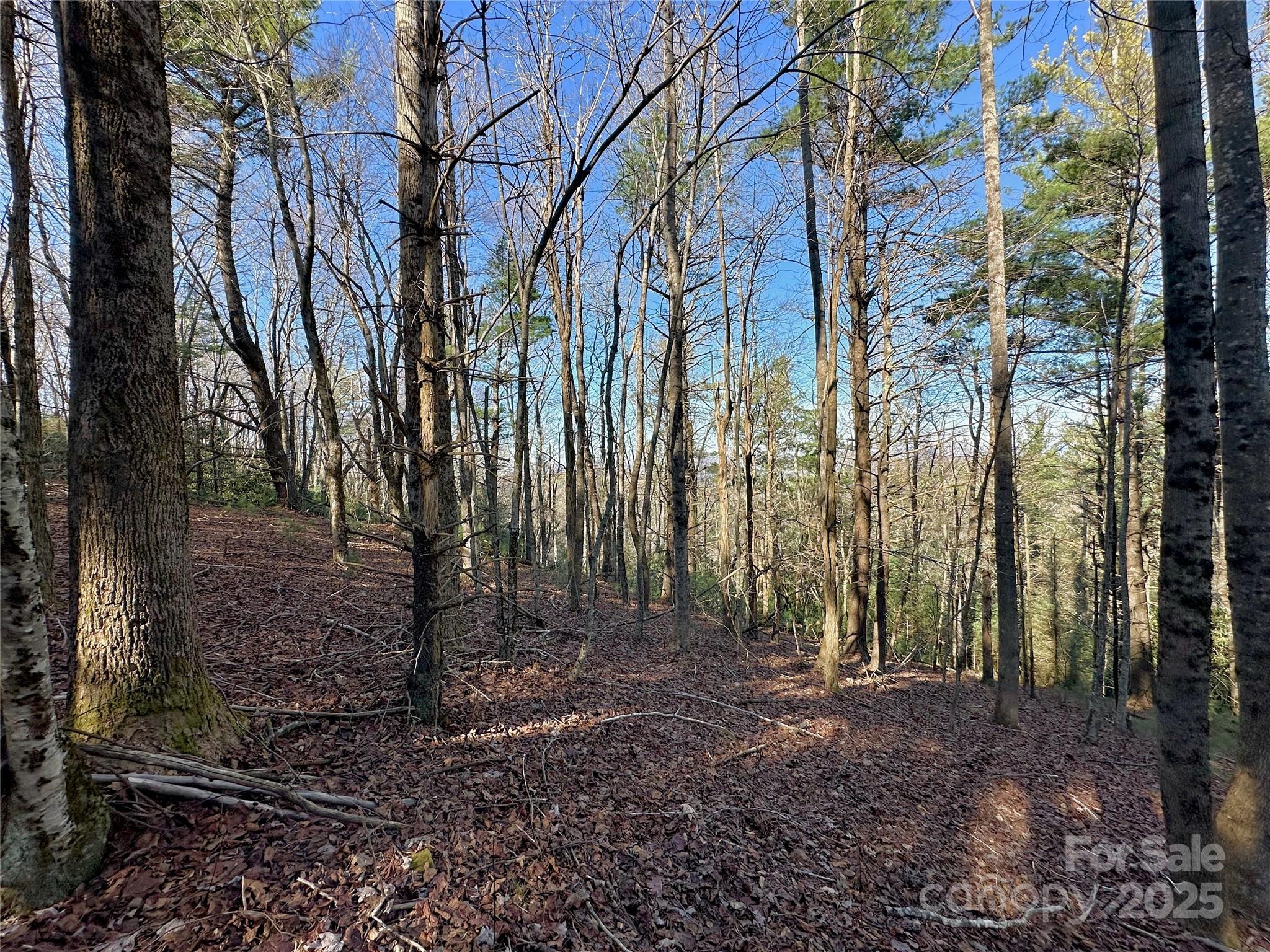 Tbd George Hayes Road Boone NC 28607