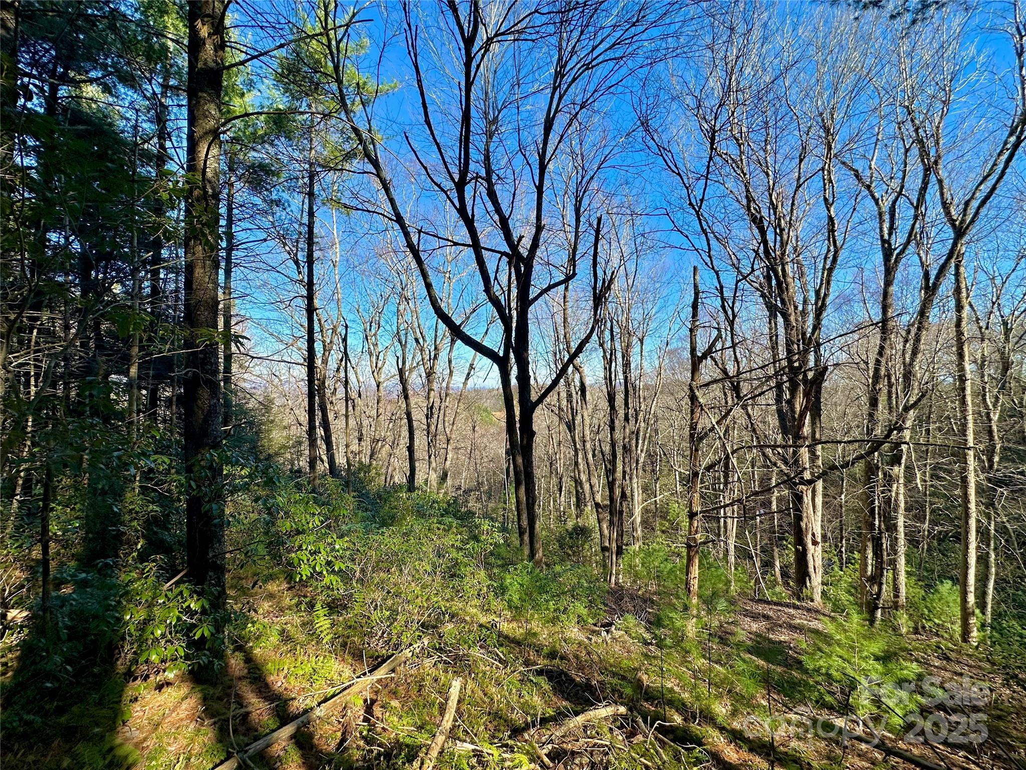 Tbd George Hayes Road Boone NC 28607