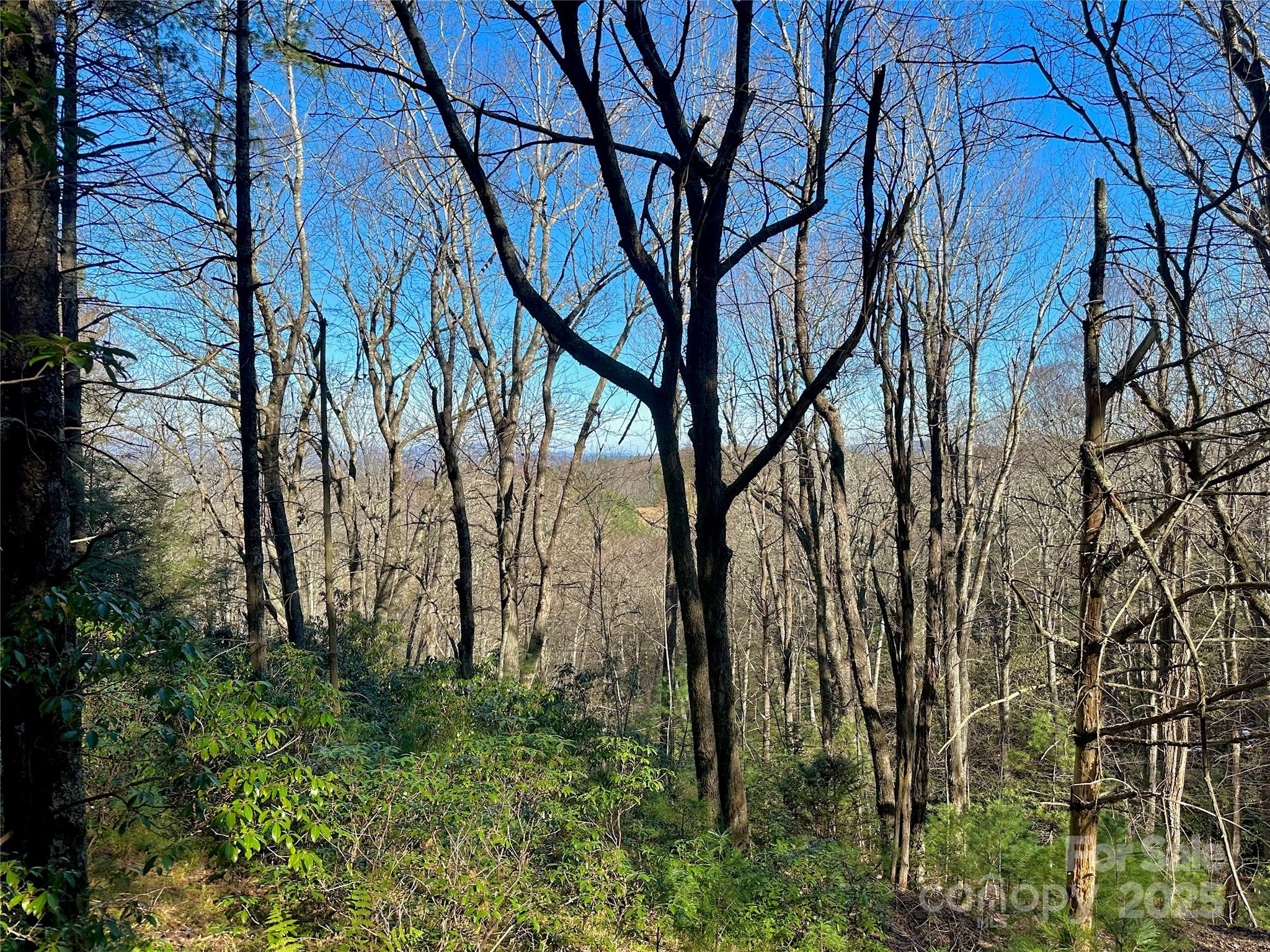 Tbd George Hayes Road Boone NC 28607