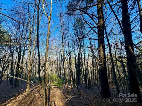 Tbd George Hayes Road Boone NC 28607