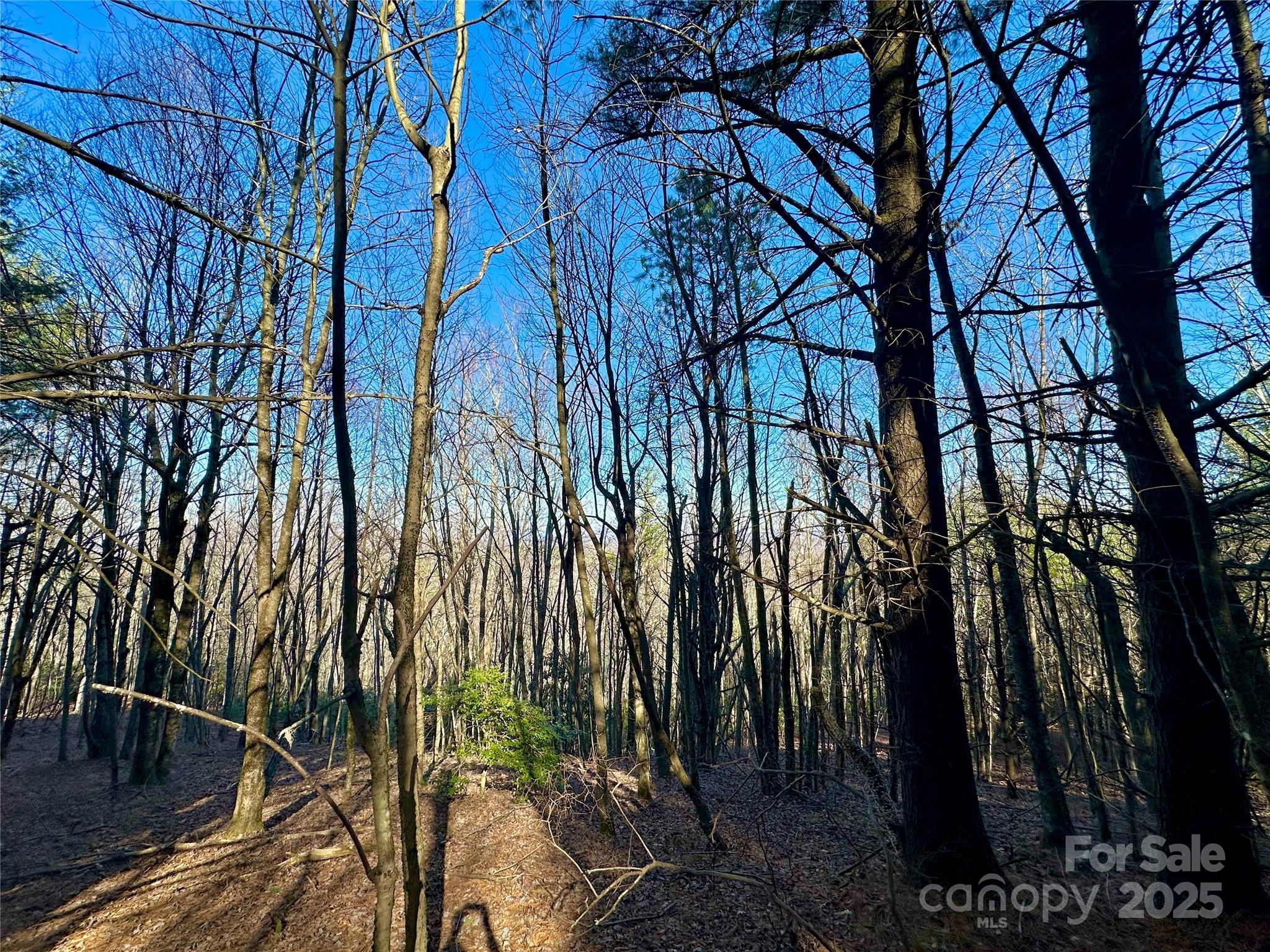 Tbd George Hayes Road Boone NC 28607