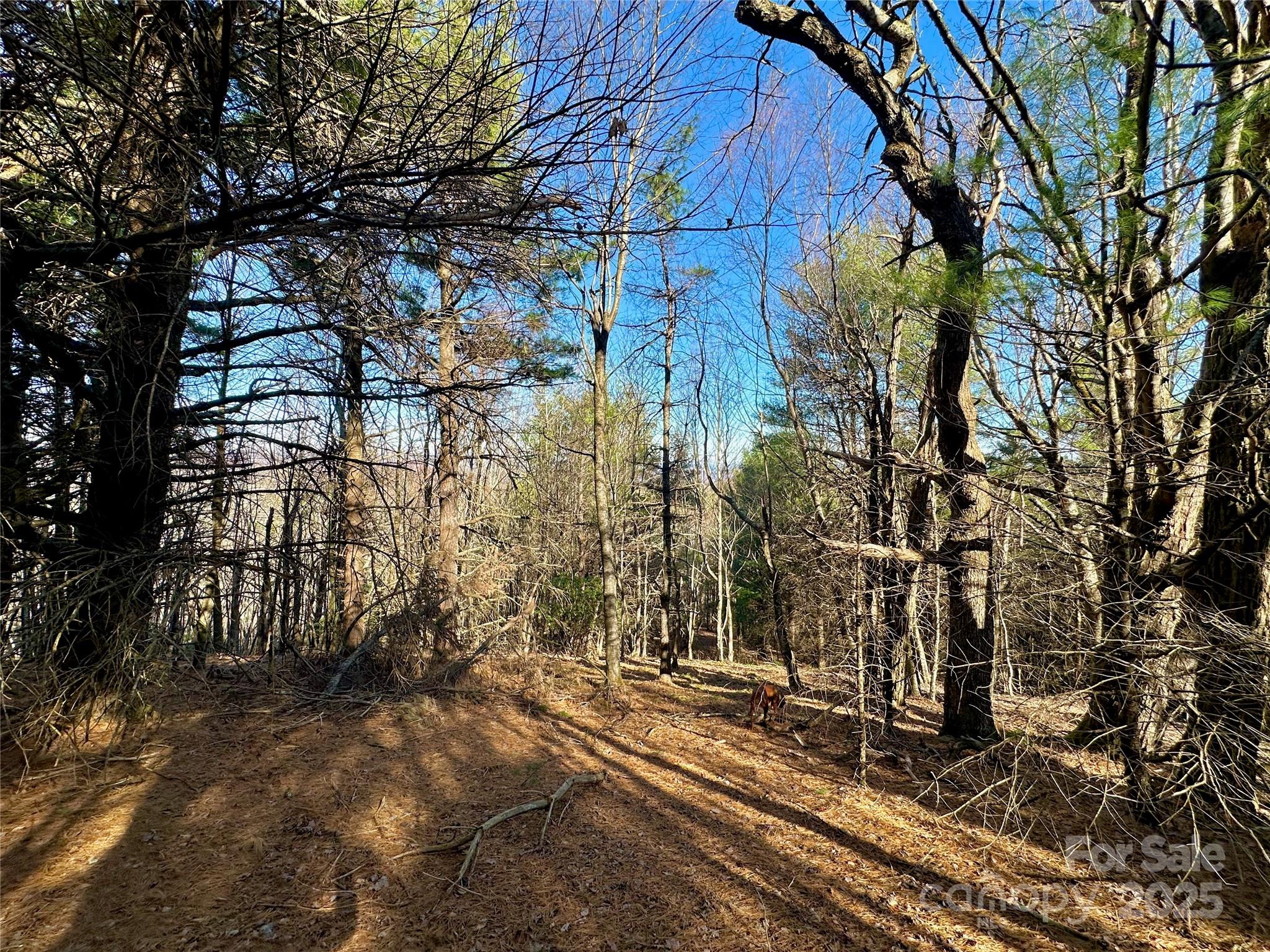 Tbd George Hayes Road Boone NC 28607