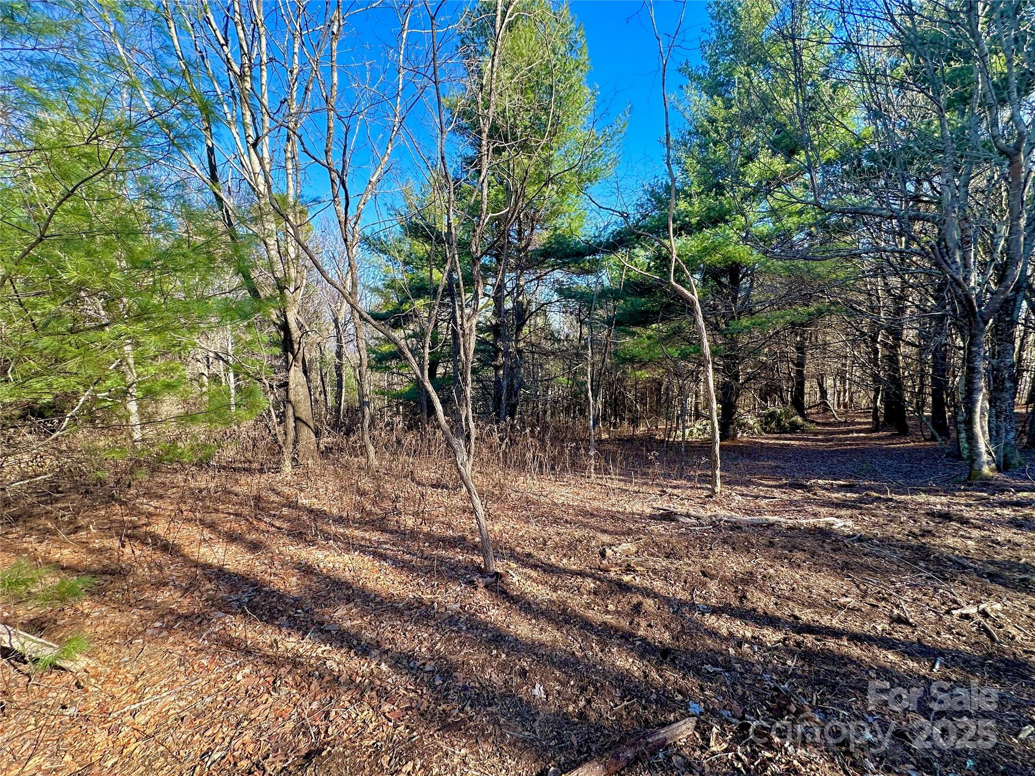 Tbd George Hayes Road Boone NC 28607
