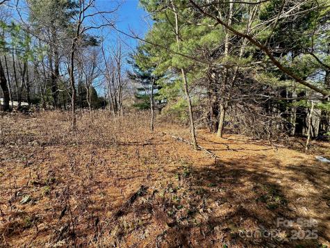 Tbd George Hayes Road Boone NC 28607