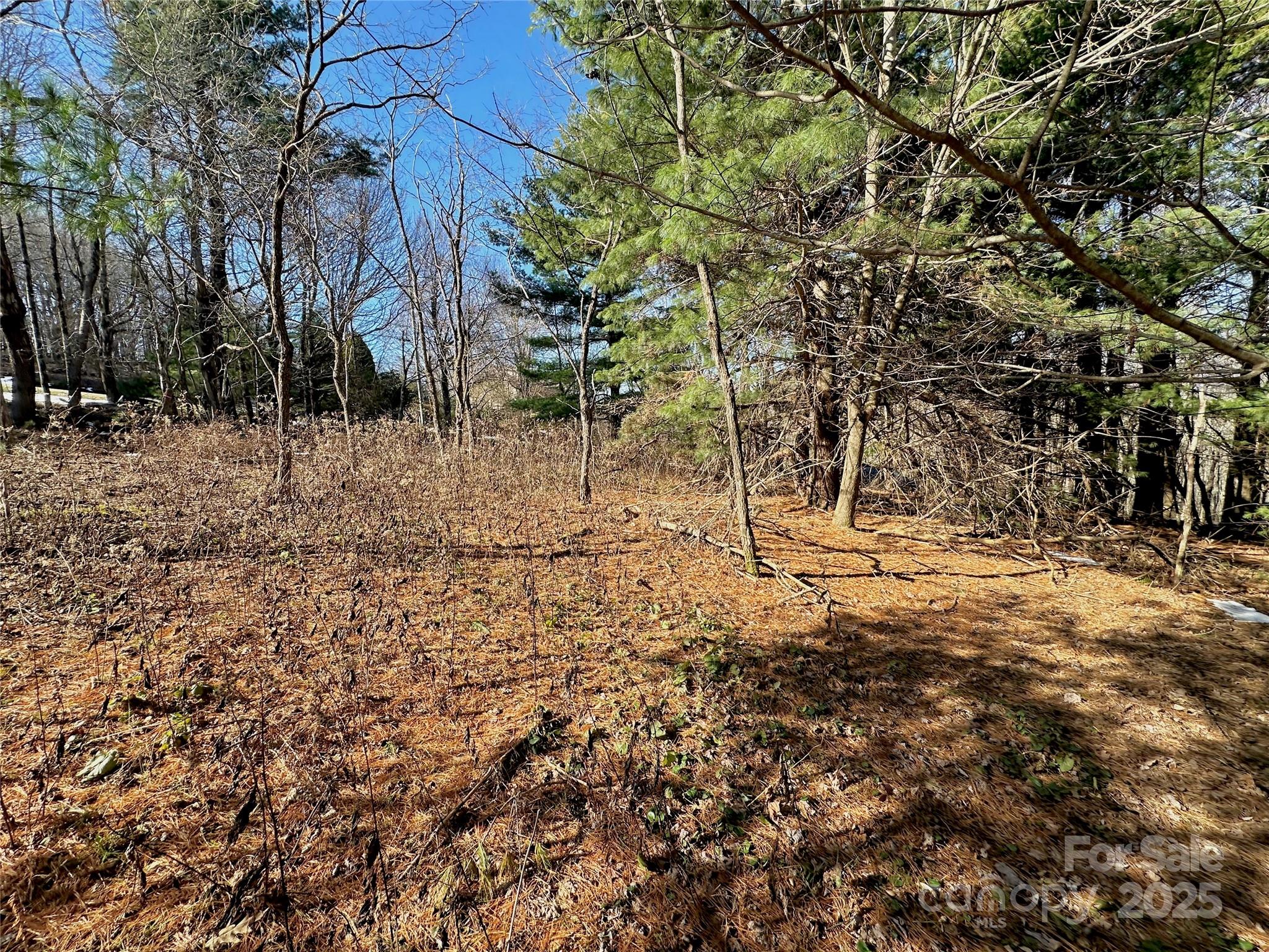 Tbd George Hayes Road Boone NC 28607
