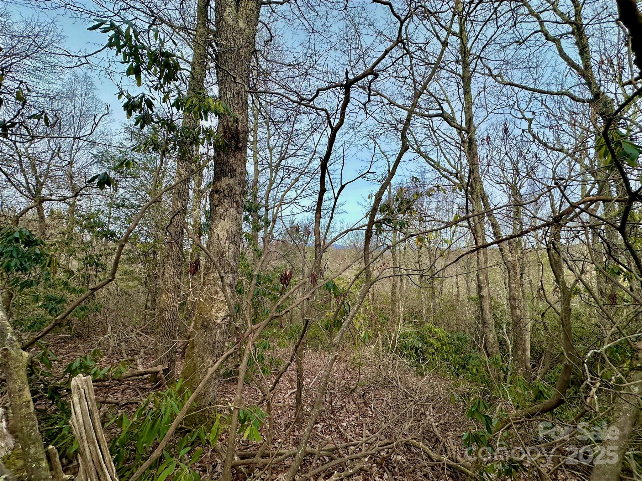 Tbd George Hayes Road Boone NC 28607