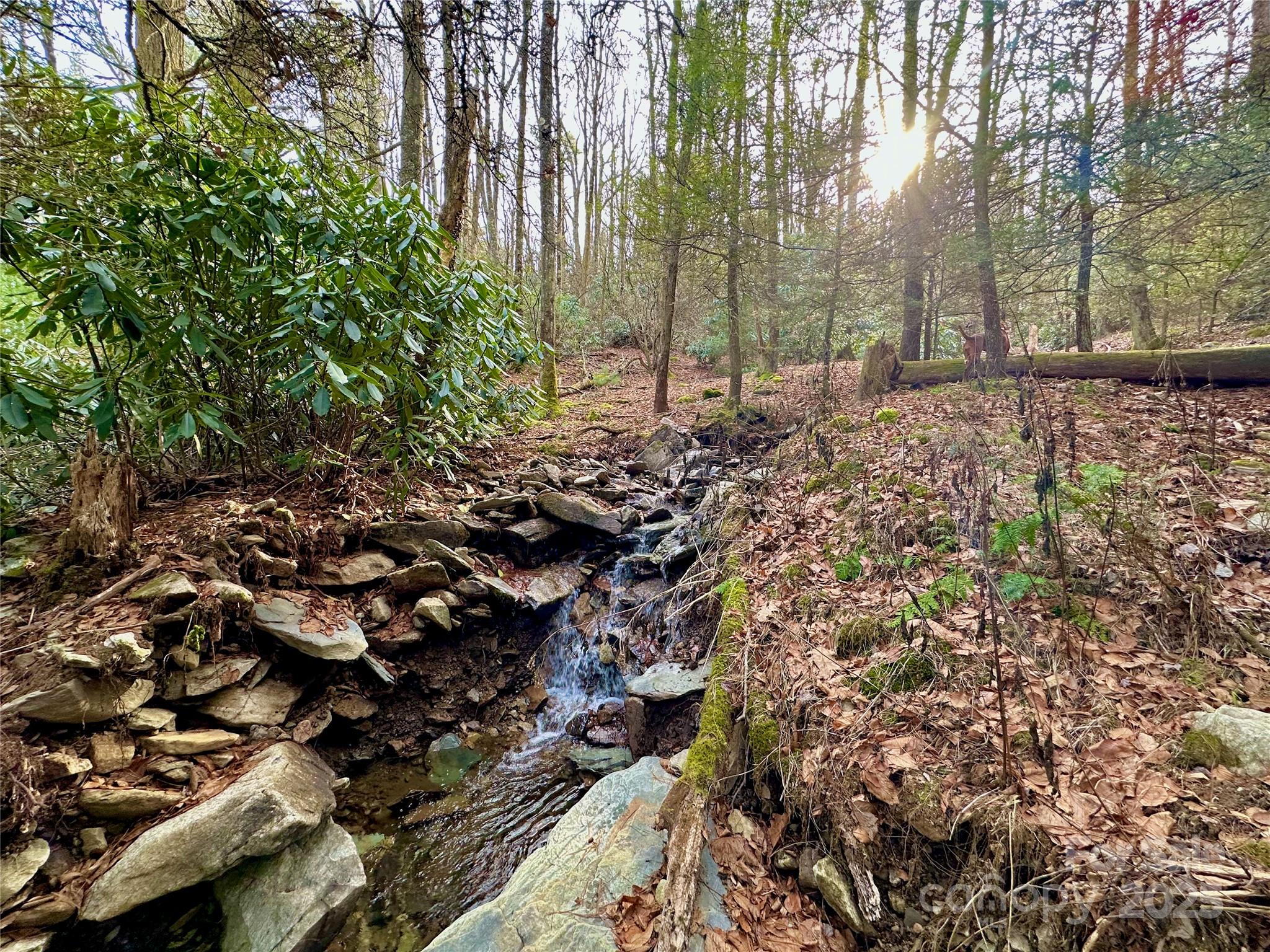 Tbd George Hayes Road Boone NC 28607