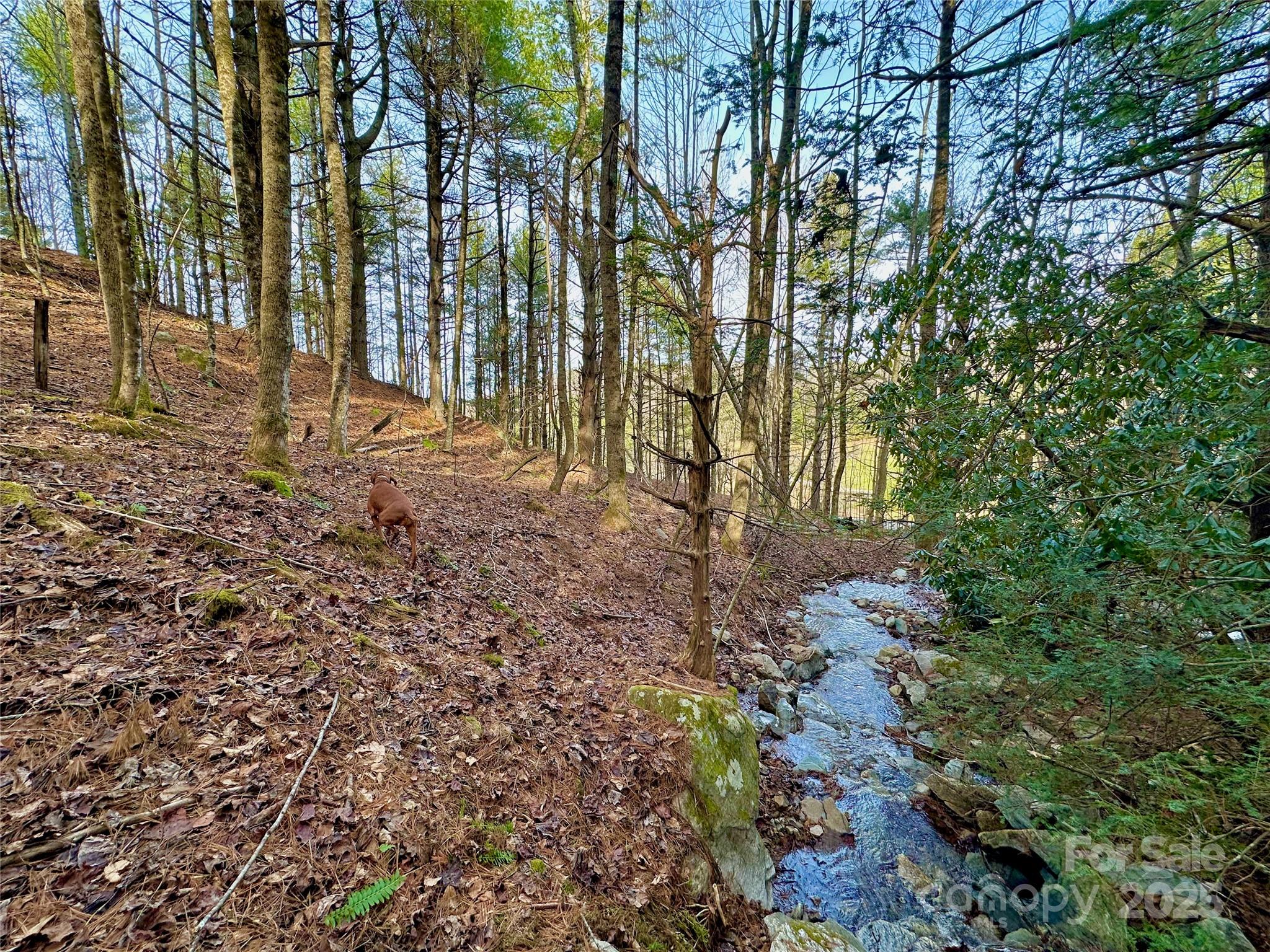 Tbd George Hayes Road Boone NC 28607